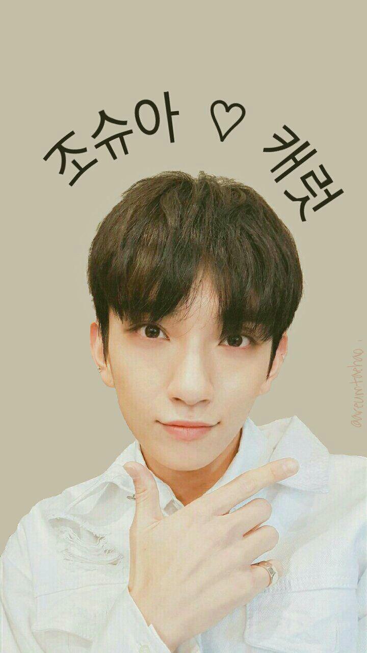 SEVENTEEN WALLPAPERS 배경화면.. . COMPLETE O S H U A