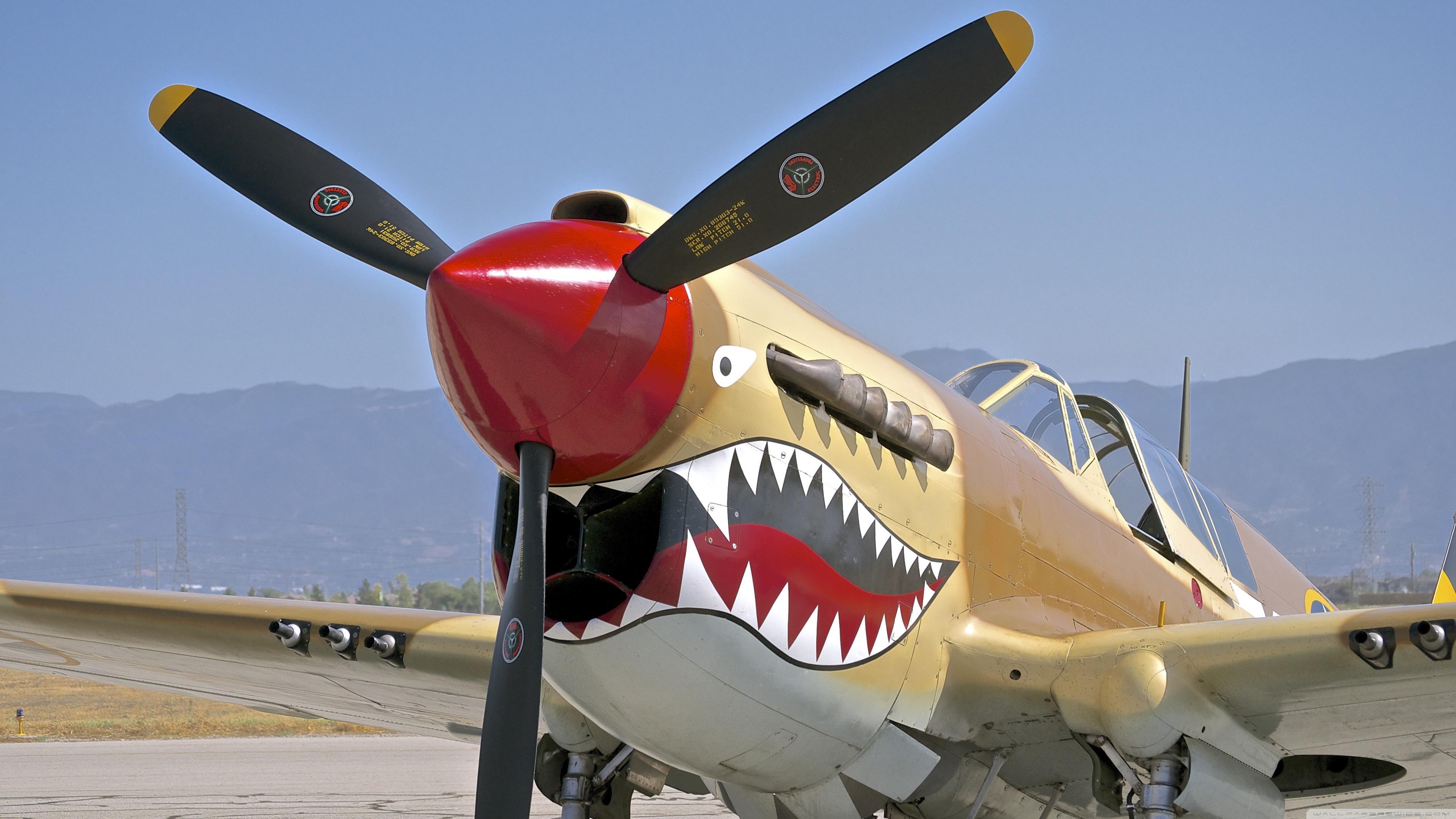 Curtiss P 40 Warhawk Wallpaper And Background Image