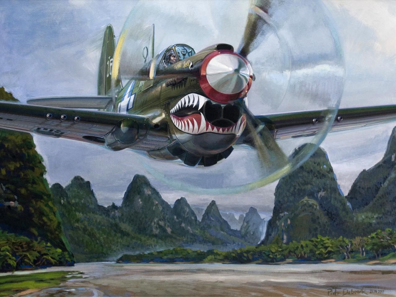 P 40 Warhawk Wallpaper