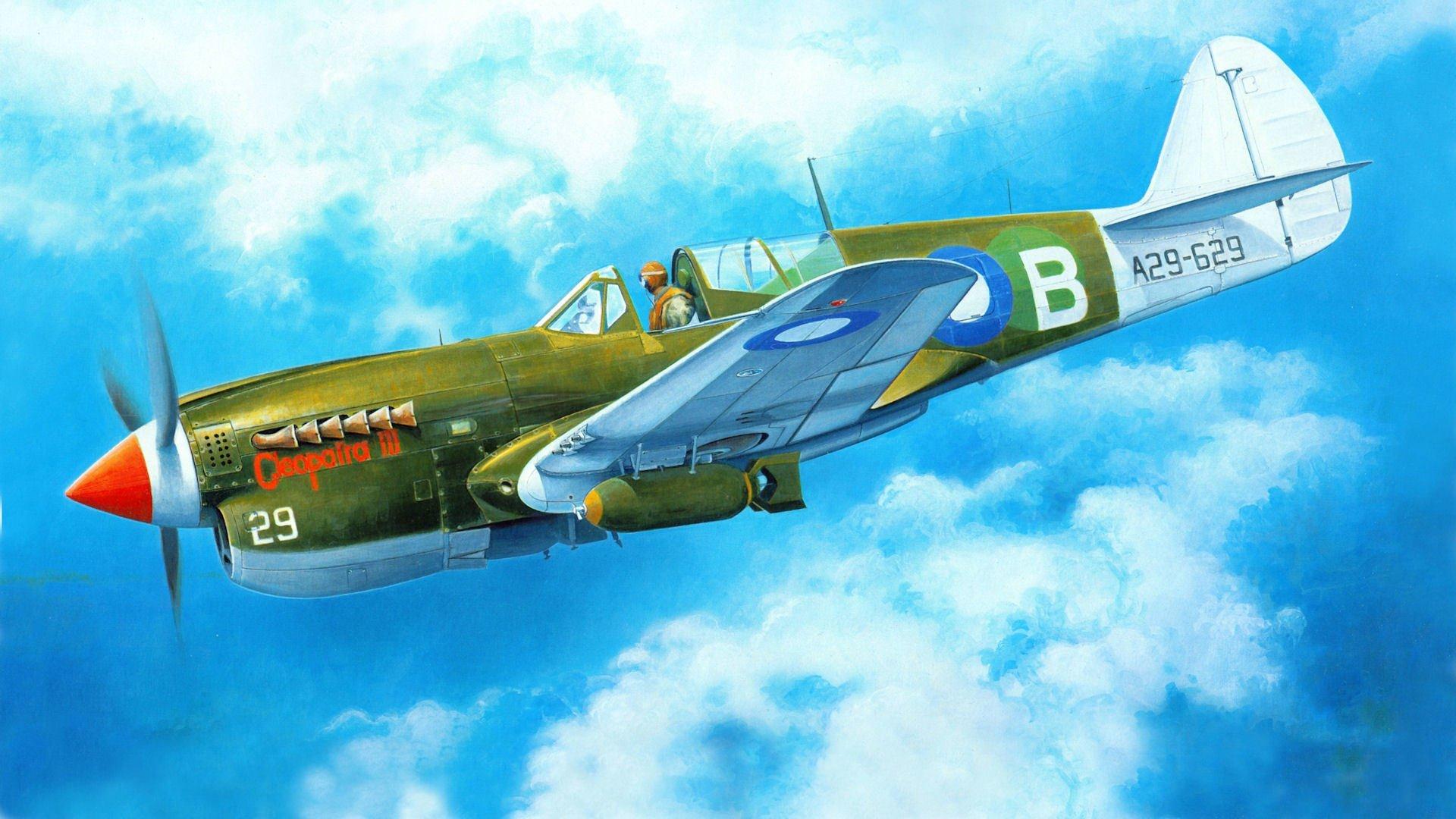 Art Plane Curtiss P 40 Warhawk Tomahawk Kittyhawk American Fighter