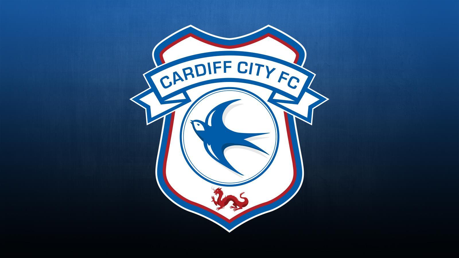Cardiff City HD Wallpaper and Photo