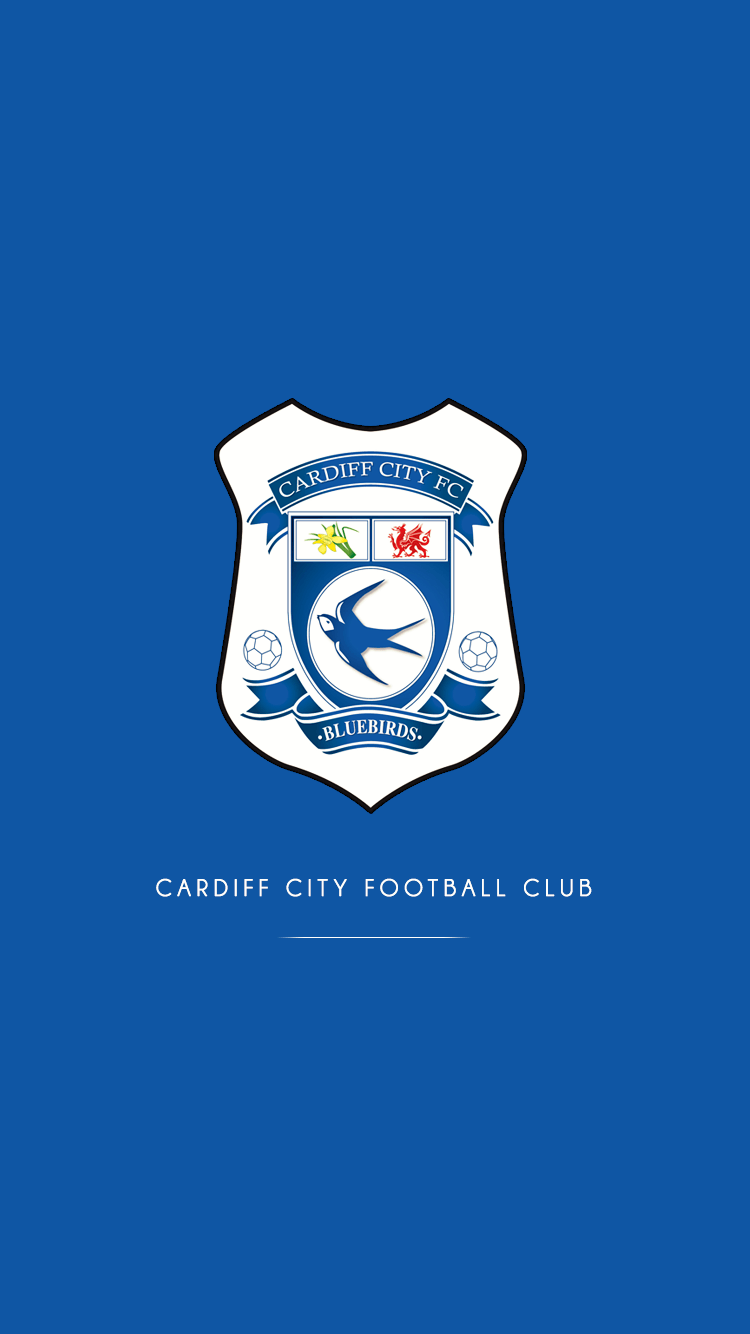 Cardiff City Phone Wallpapers - Wallpaper Cave