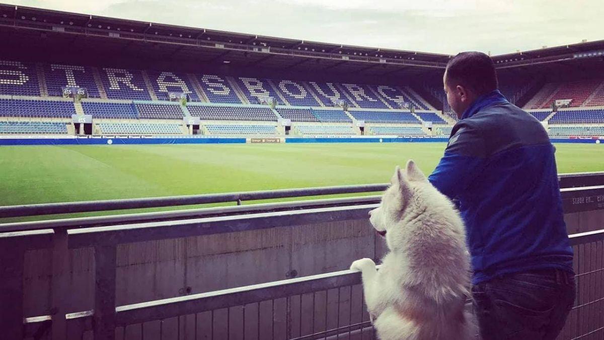 Racing Club de Strasbourg Alsace, Hatchi un fan qui a du chien