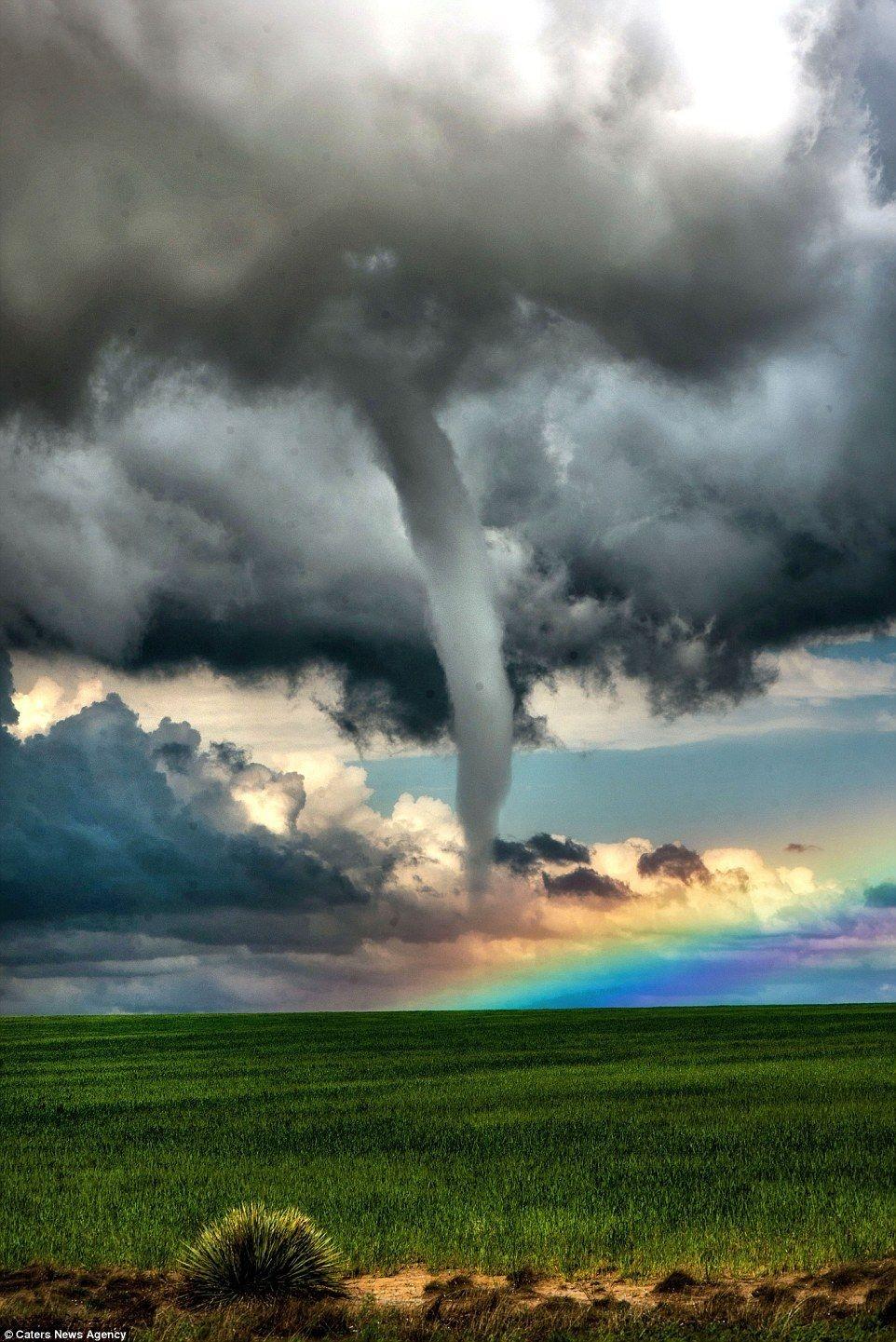 Beauty Monster Dangerous Nature tornado Storms Desktop Wallpaper