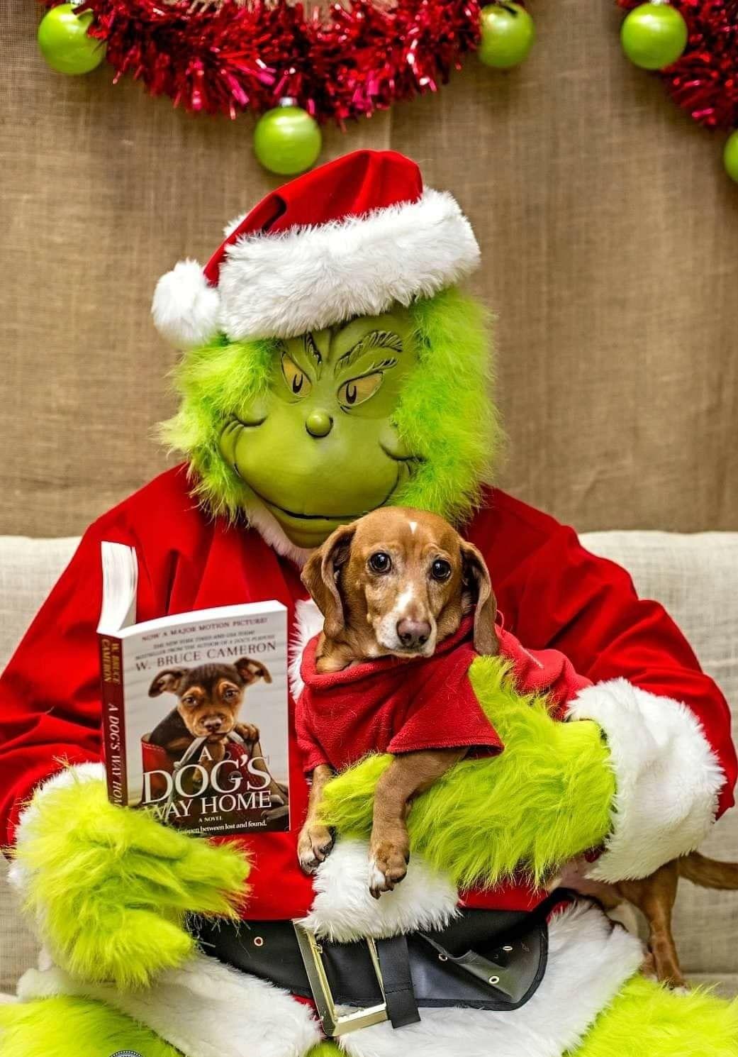 Even the Grinch thinks A Dog's Way Home is the perfect Christmas