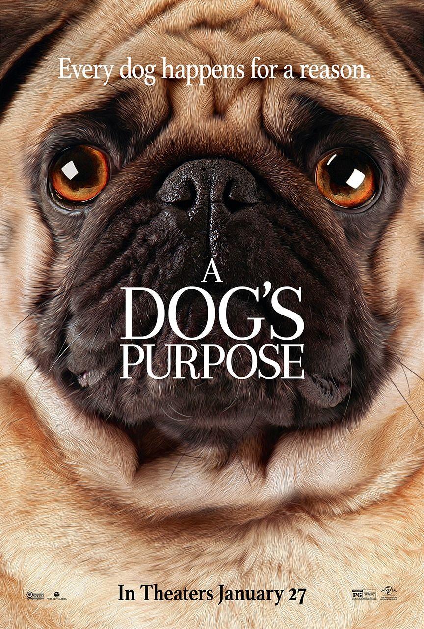 Return to the main poster page for A Dog's Purpose ( of 6). Movie