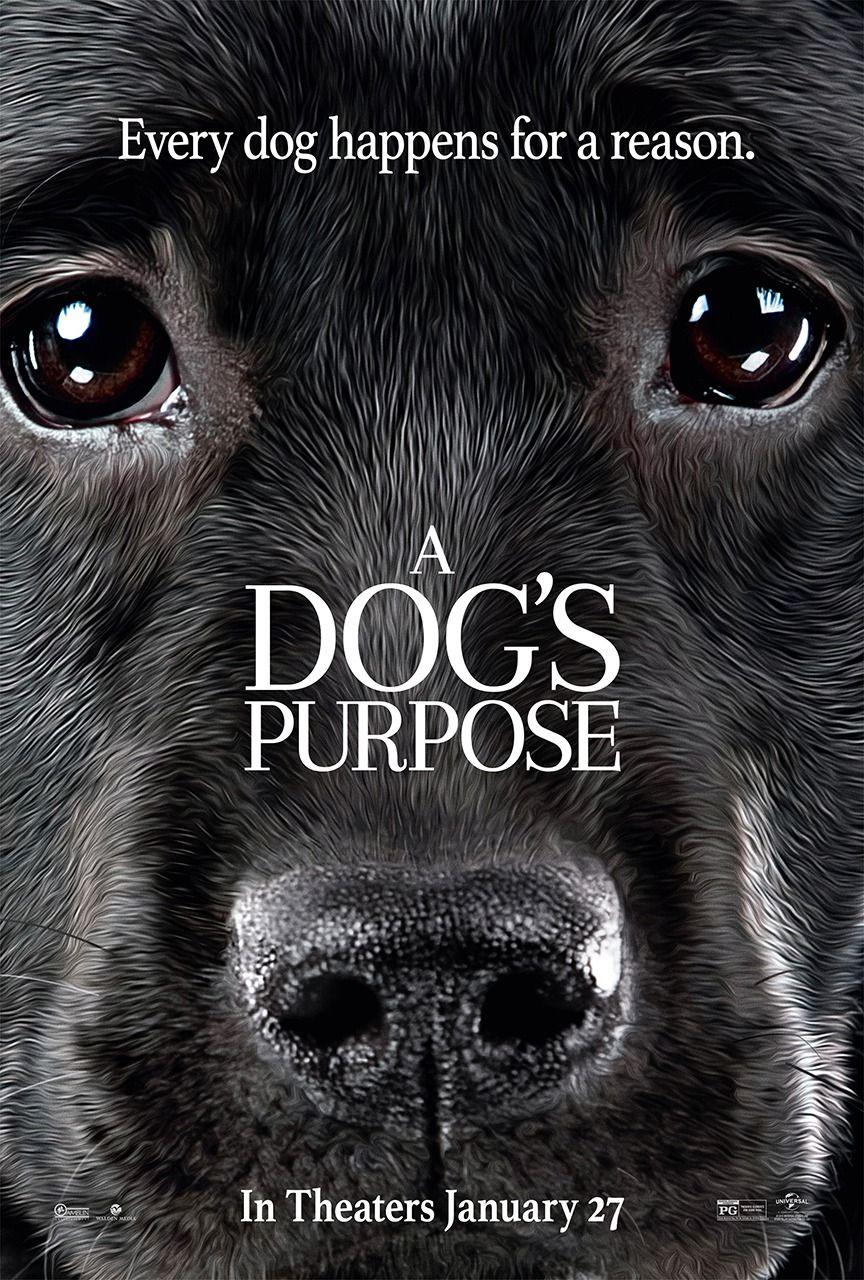 Return to the main poster page for A Dog's Purpose ( of 6). a dog