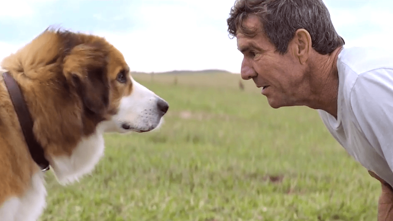 A Dog's Purpose' Review
