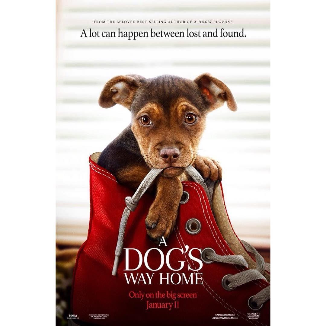 2019' A Dog's Way Home ＦＵＬＬ ＭＯＶＩＥ HD1080p Sub English