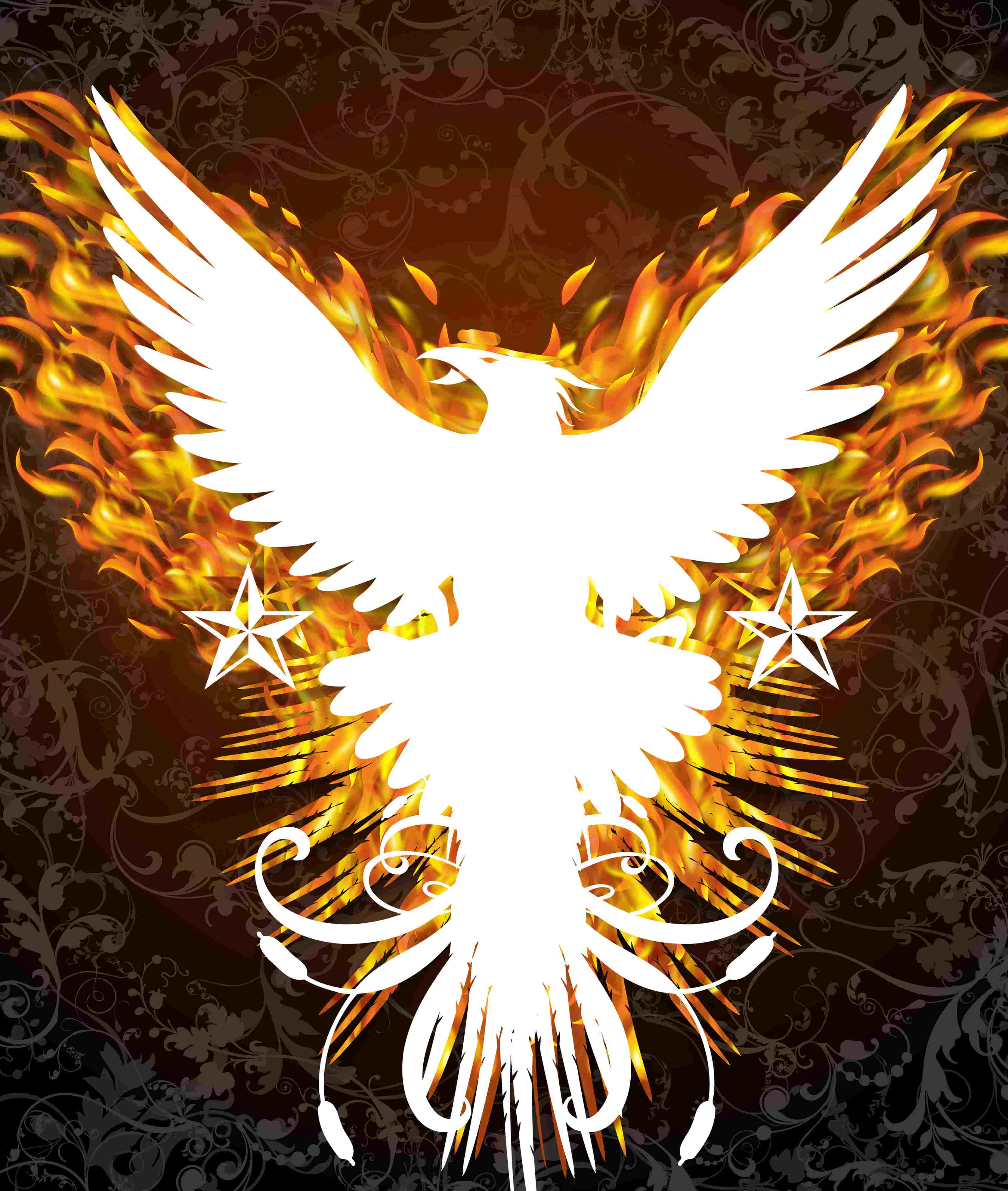 Free Phoenix, Download Free Clip Art, Free Clip Art on Clipart Library