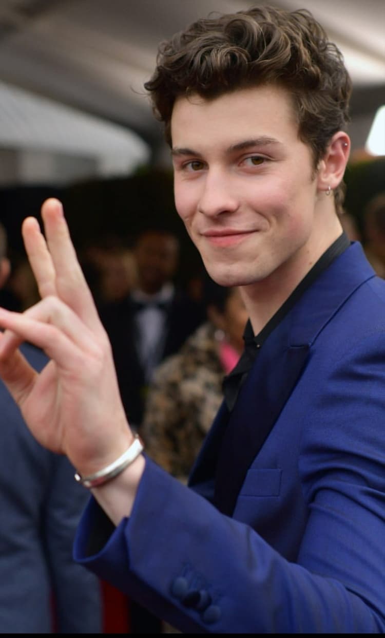 Shawn Mendes on the Grammys Red Carpet Feb. 10. 2019