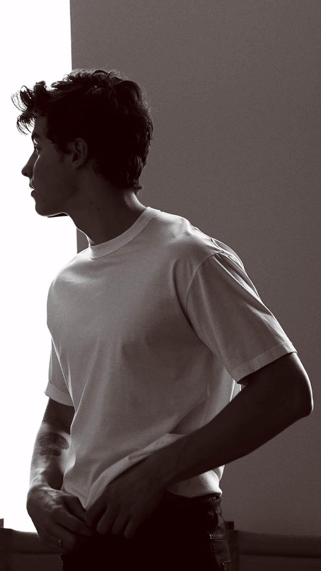 shawn mendes wallpaper. Poses in 2019