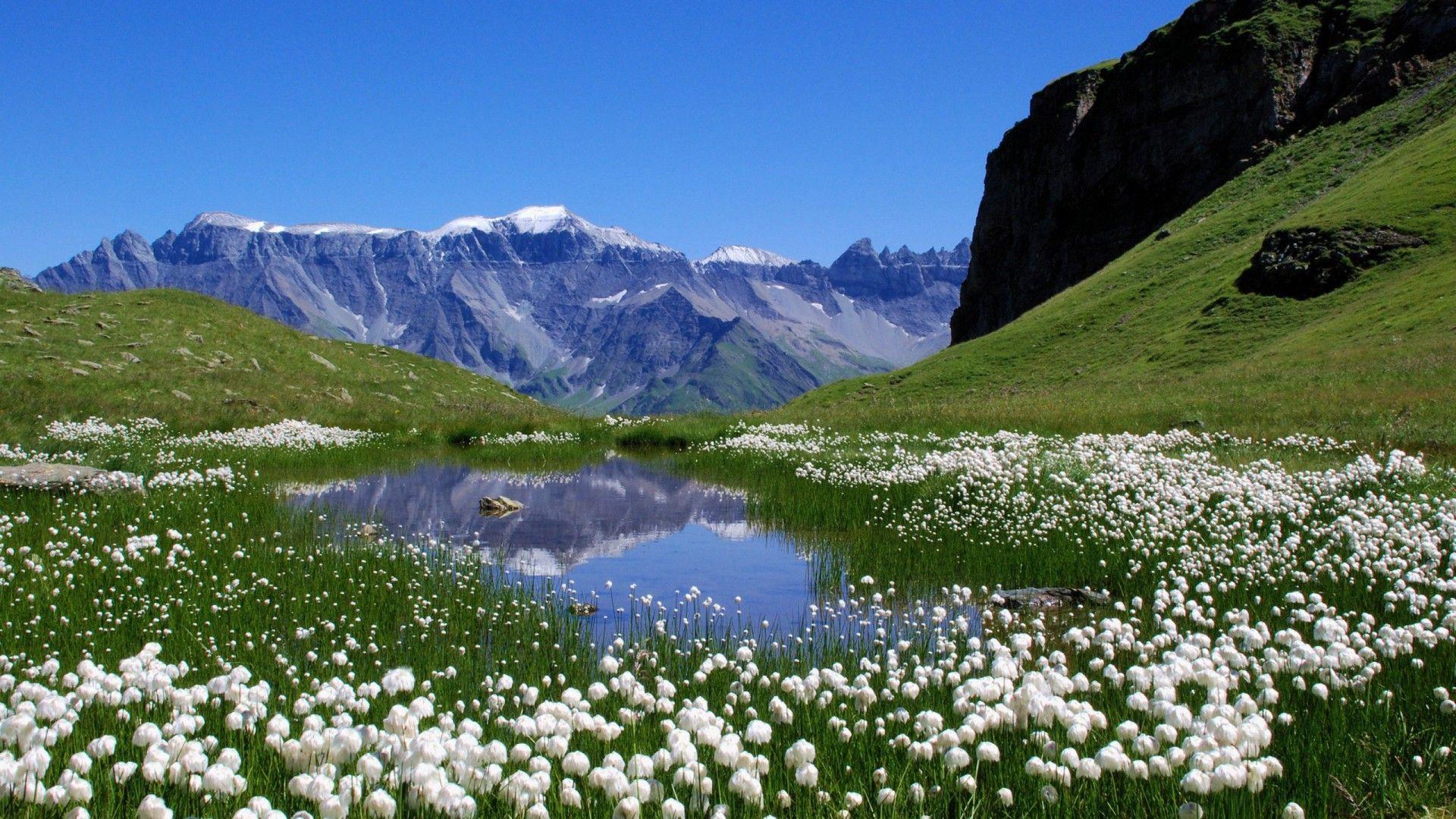 Oma Wathen: Top HD Swiss Wallpaper, HDQ. Beautiful nature spring, Beautiful nature, Mountains