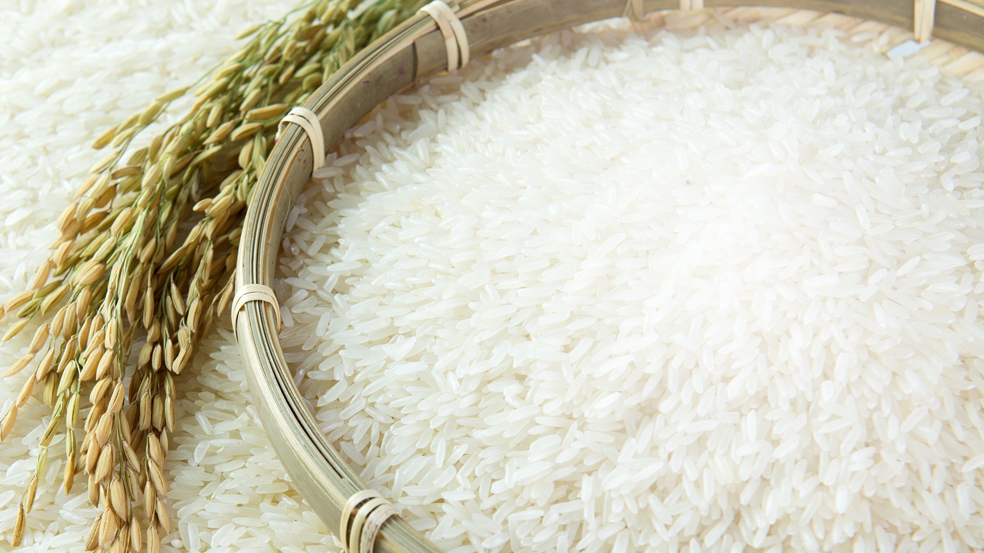 Rice Wallpaper Image