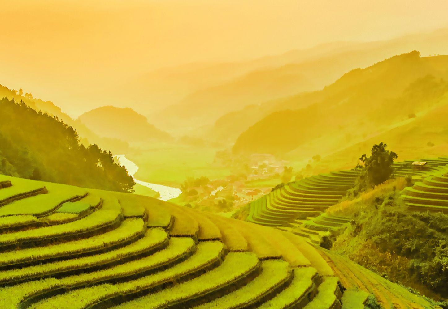 Photo wallpaper Terraced Rice Field In Vietnam