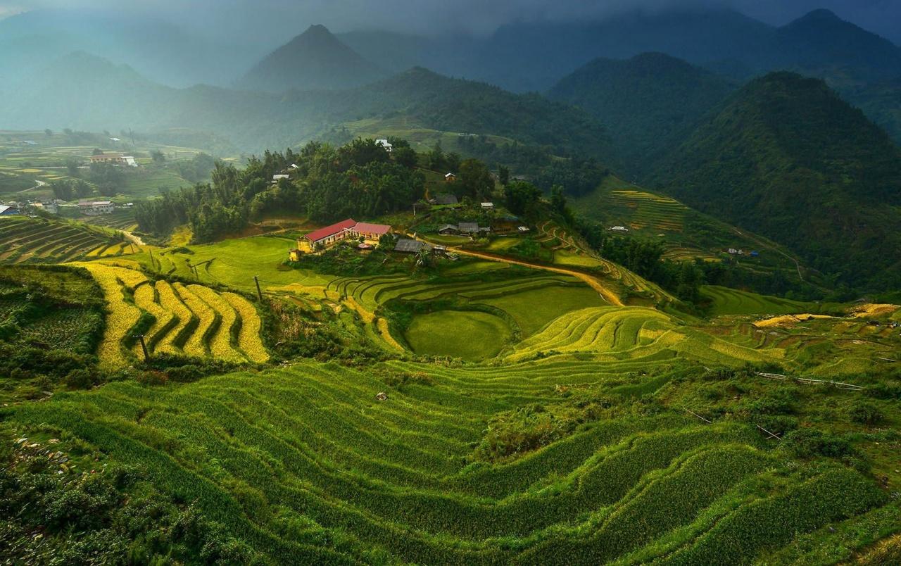 Rice Terraces in Vietnam wallpaper. Rice Terraces in Vietnam stock