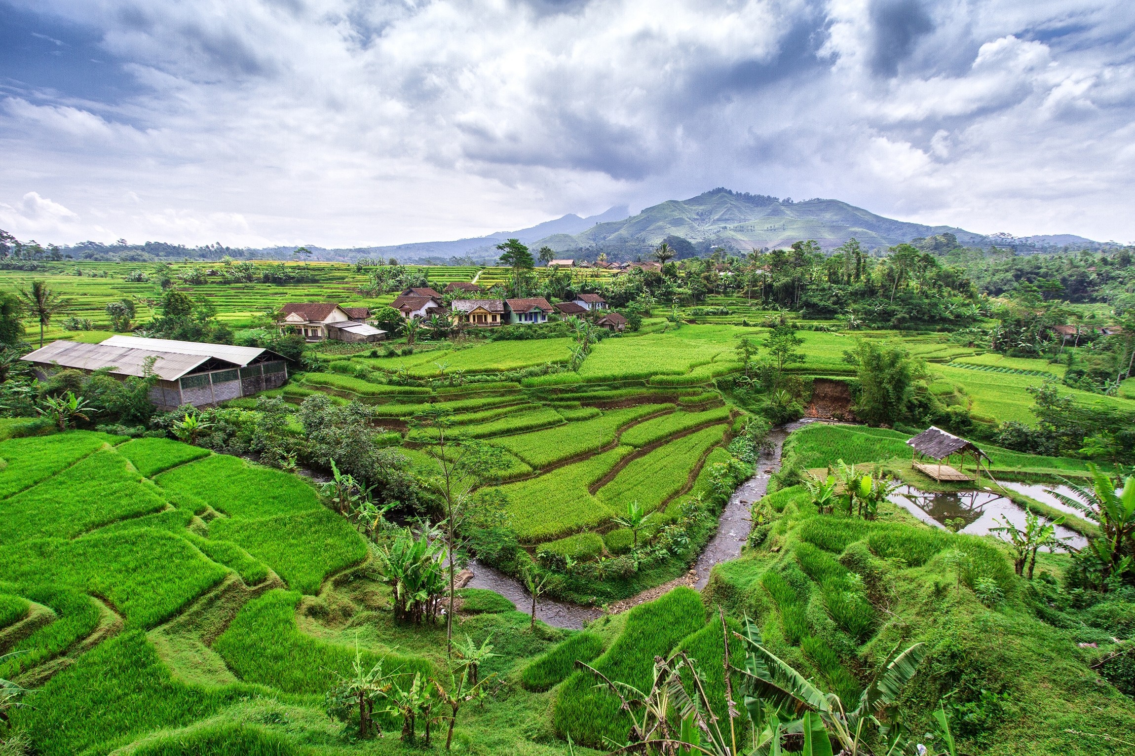 Hills rice java indonesia creek terraces terrace wallpaper