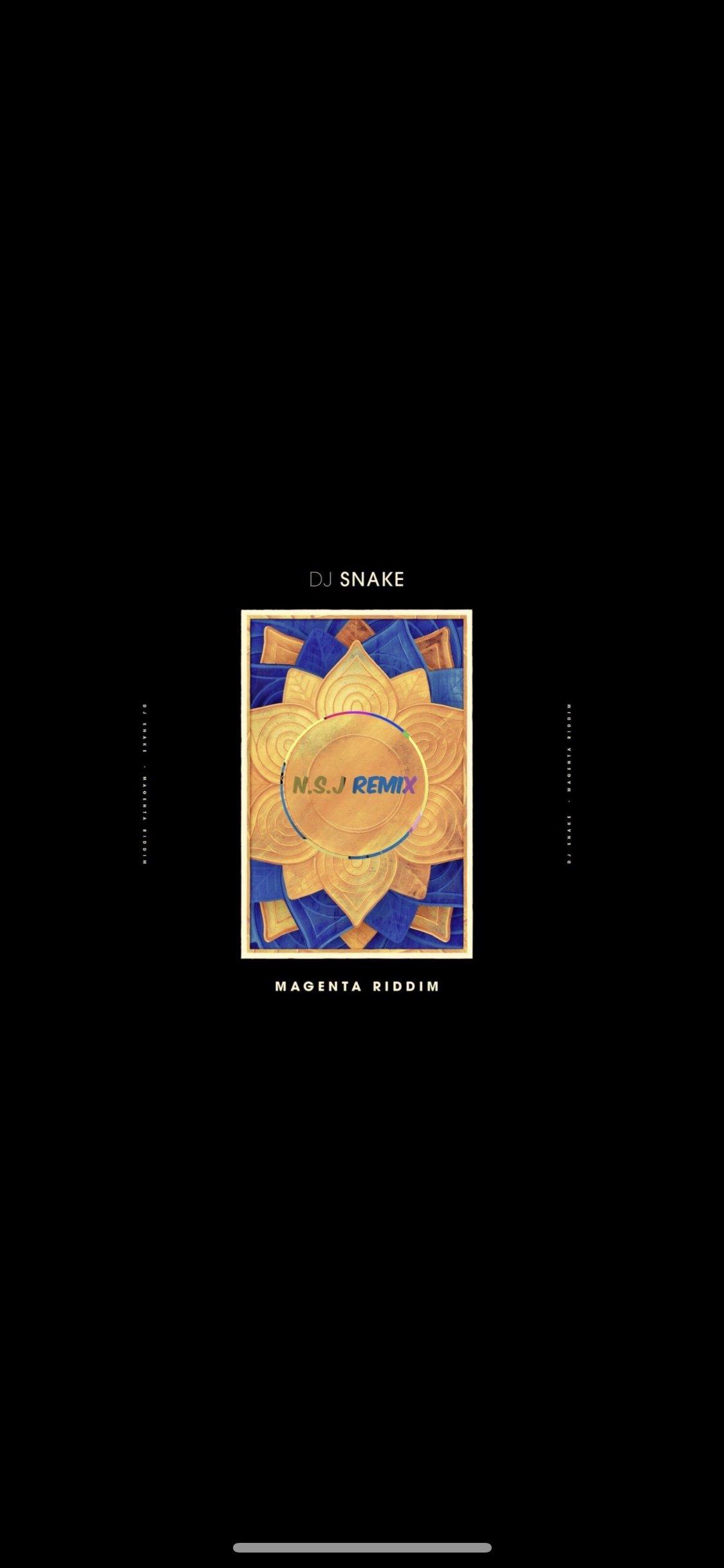 DJ SNAKE RIDDIM ( N.S.J REMIX ) by N.S.J