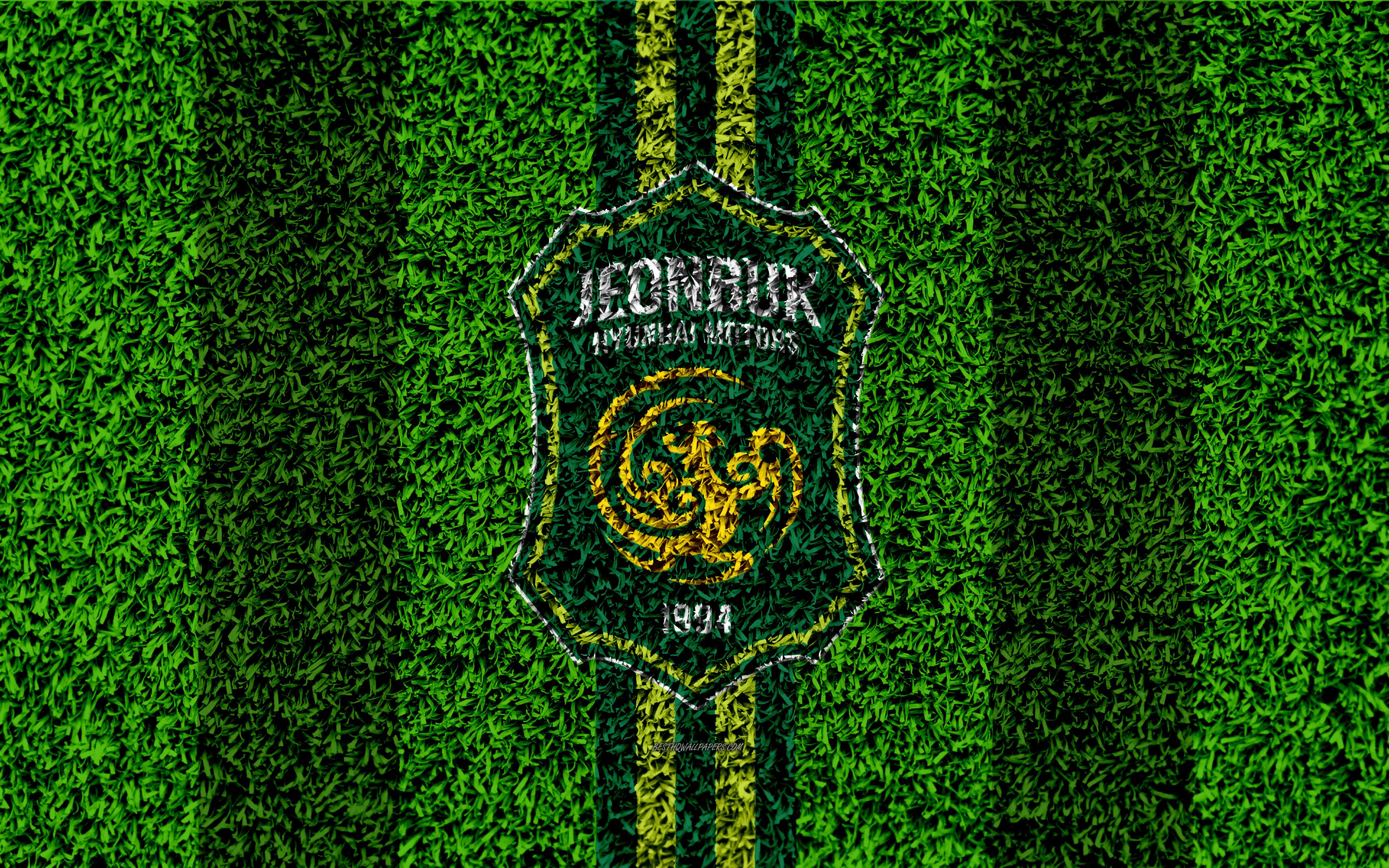 Download wallpaper Jeonbuk Hyundai Motors FC, 4k, logo, grass