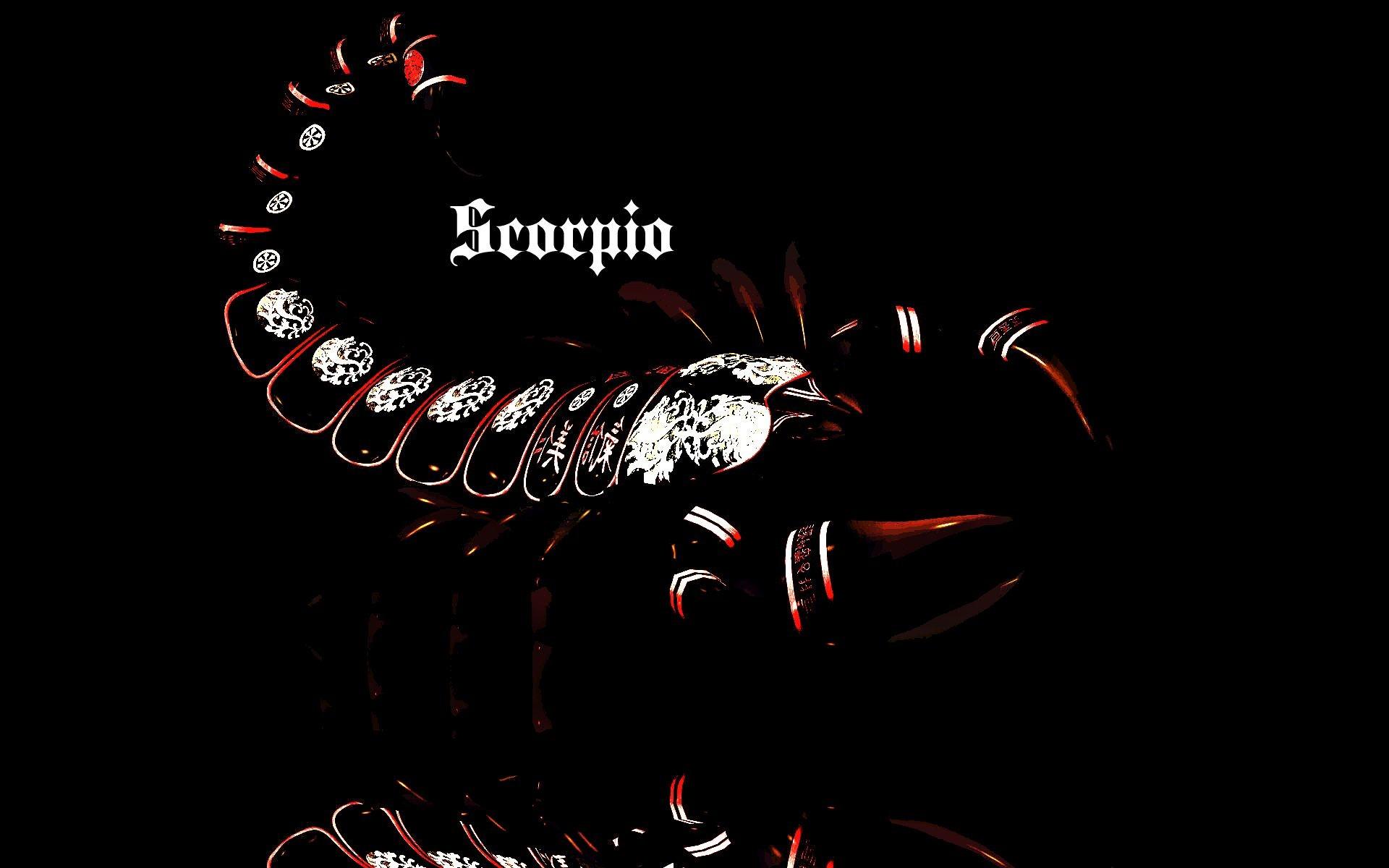 Black Scorpio Wallpapers - Wallpaper Cave