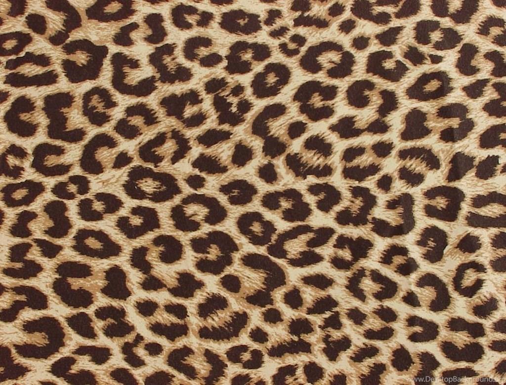 Purple Leopard Print Wallpaper HD Wide 1080×823 H