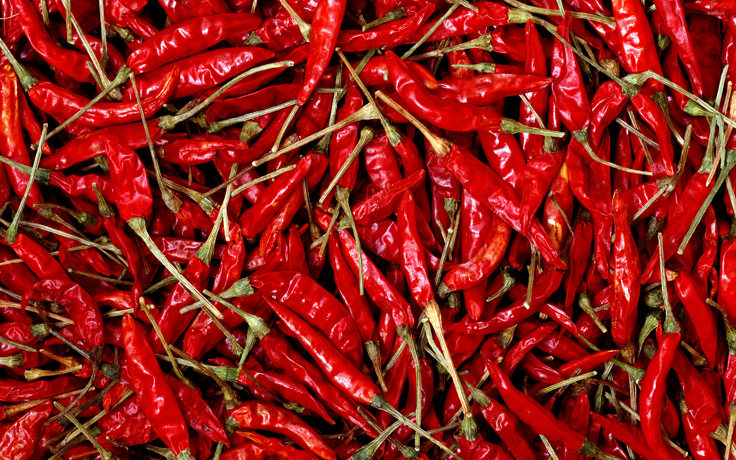 Chili peppers wallpaper wallpaper
