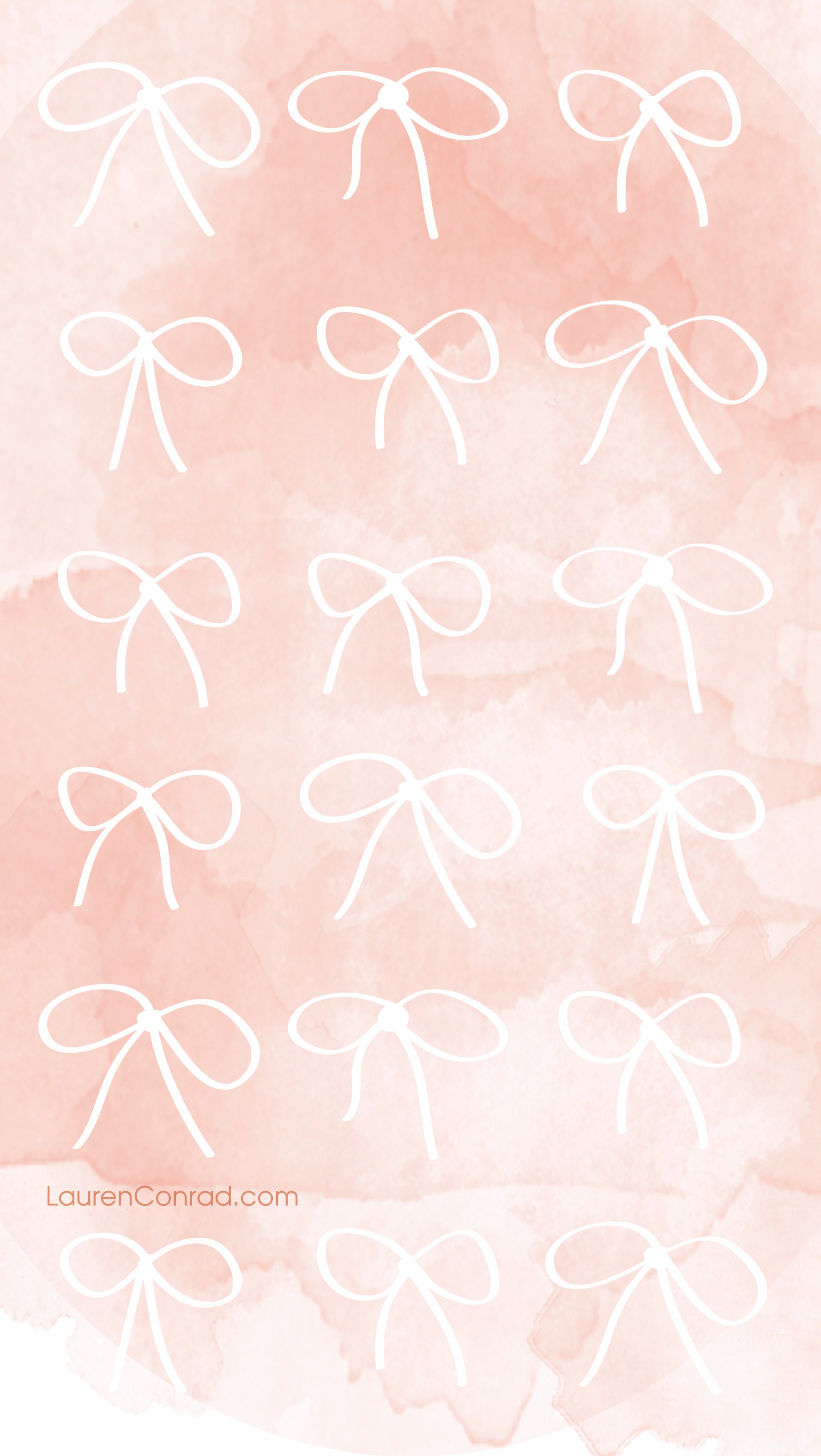 Lovely Bow High Resolution Wallpaper's Collection