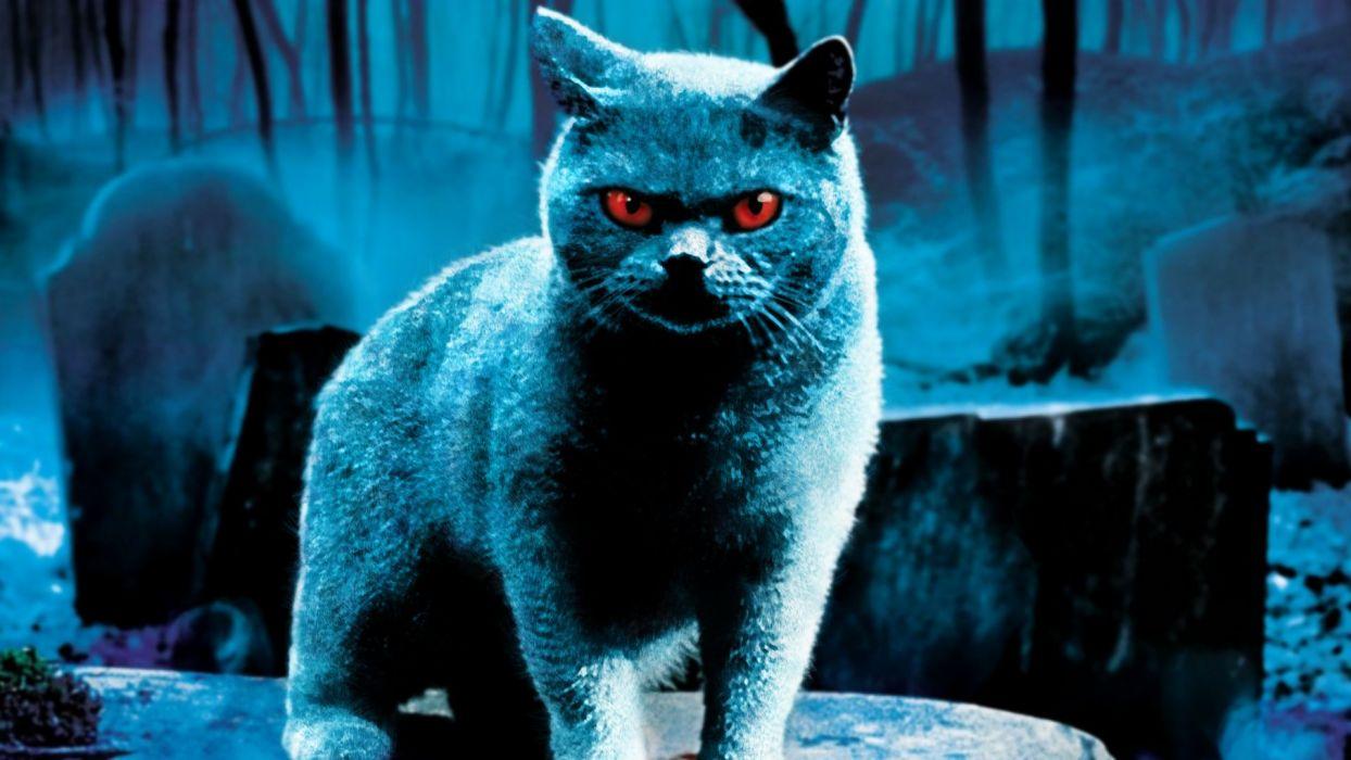 PET SEMATARY horror dark king fantasy petsematary cat demon