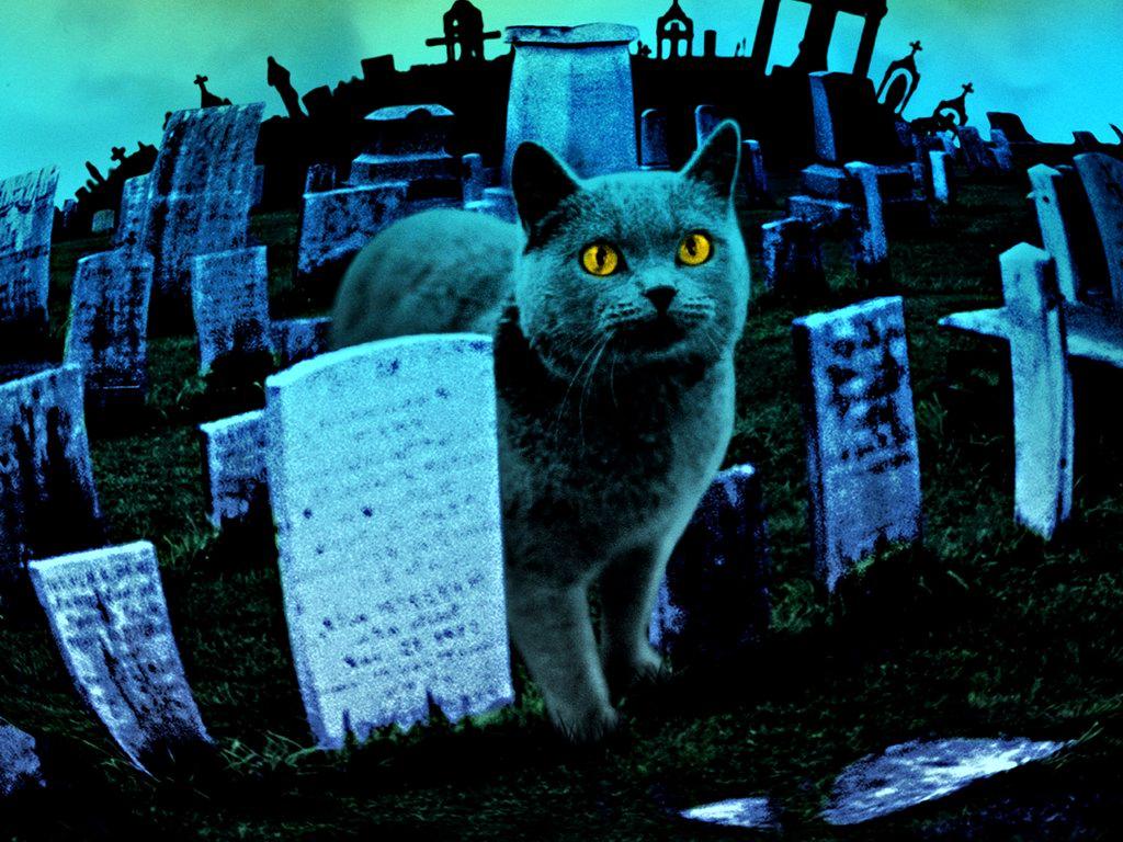 Pet Sematary Ii Movie Wallpaper (image in Collection)