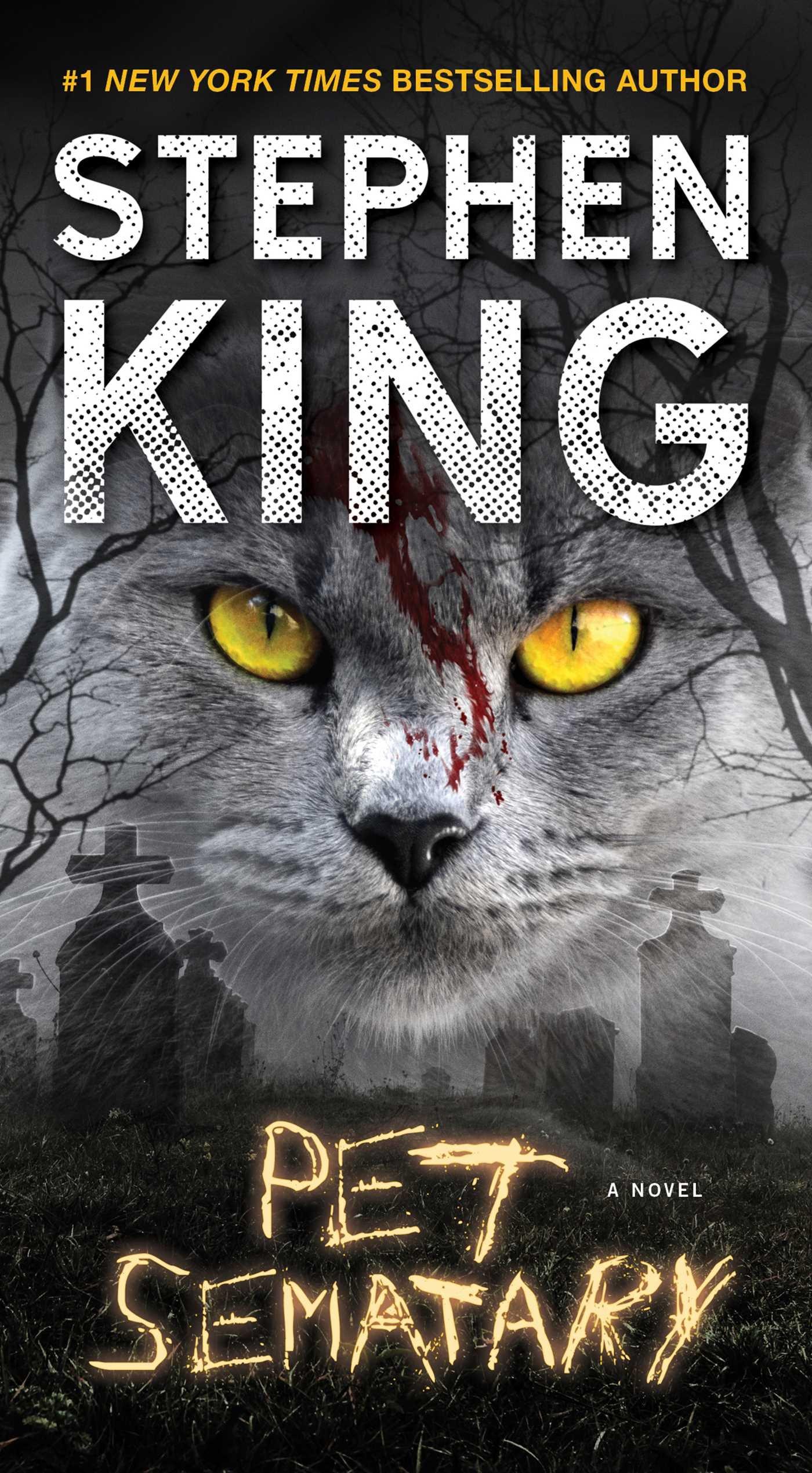 Pet Sematary: A Novel: Stephen King: 9781501156700: Books