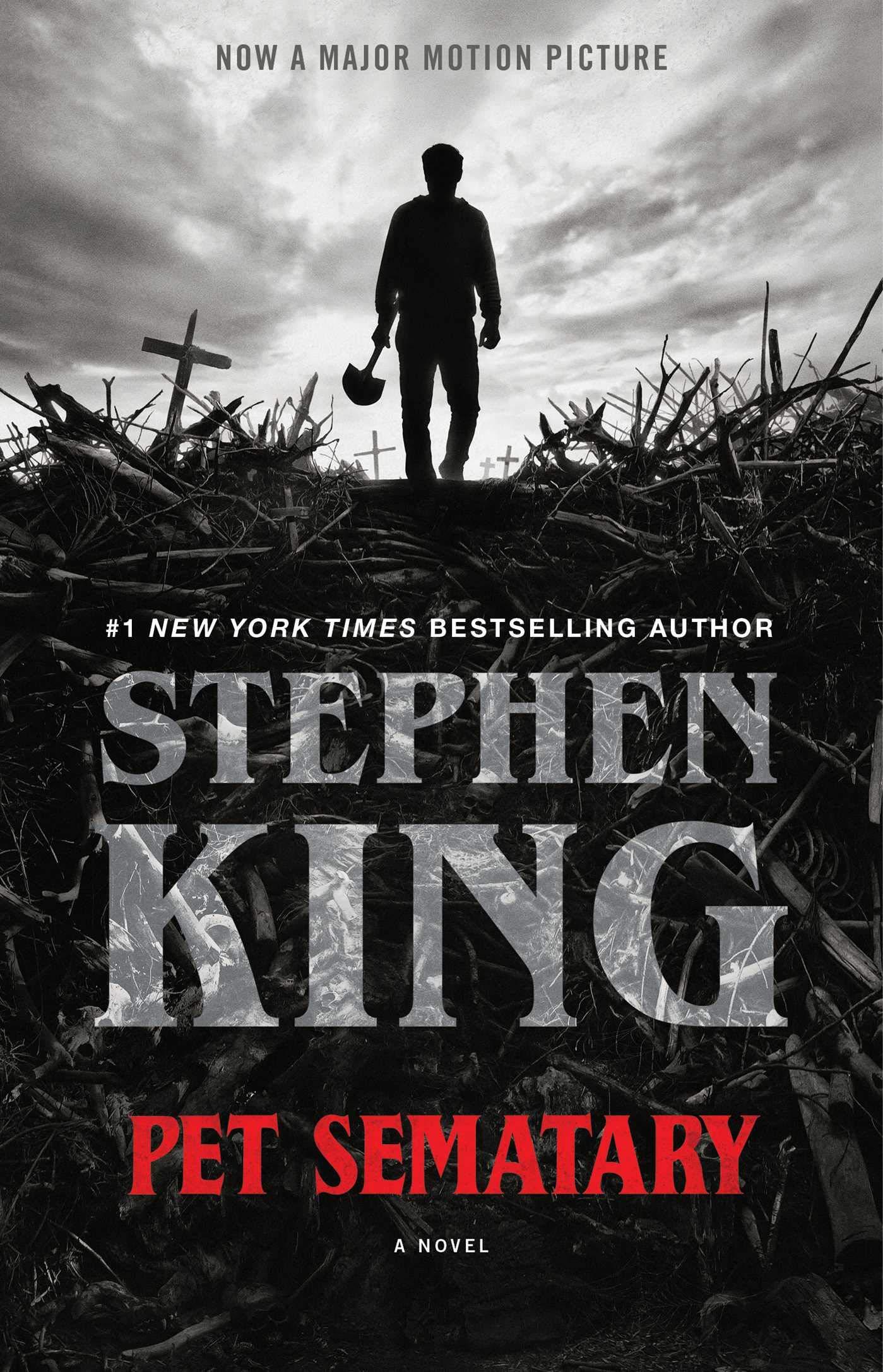 Pet Sematary: A Novel: Stephen King: 9781982115982: Books