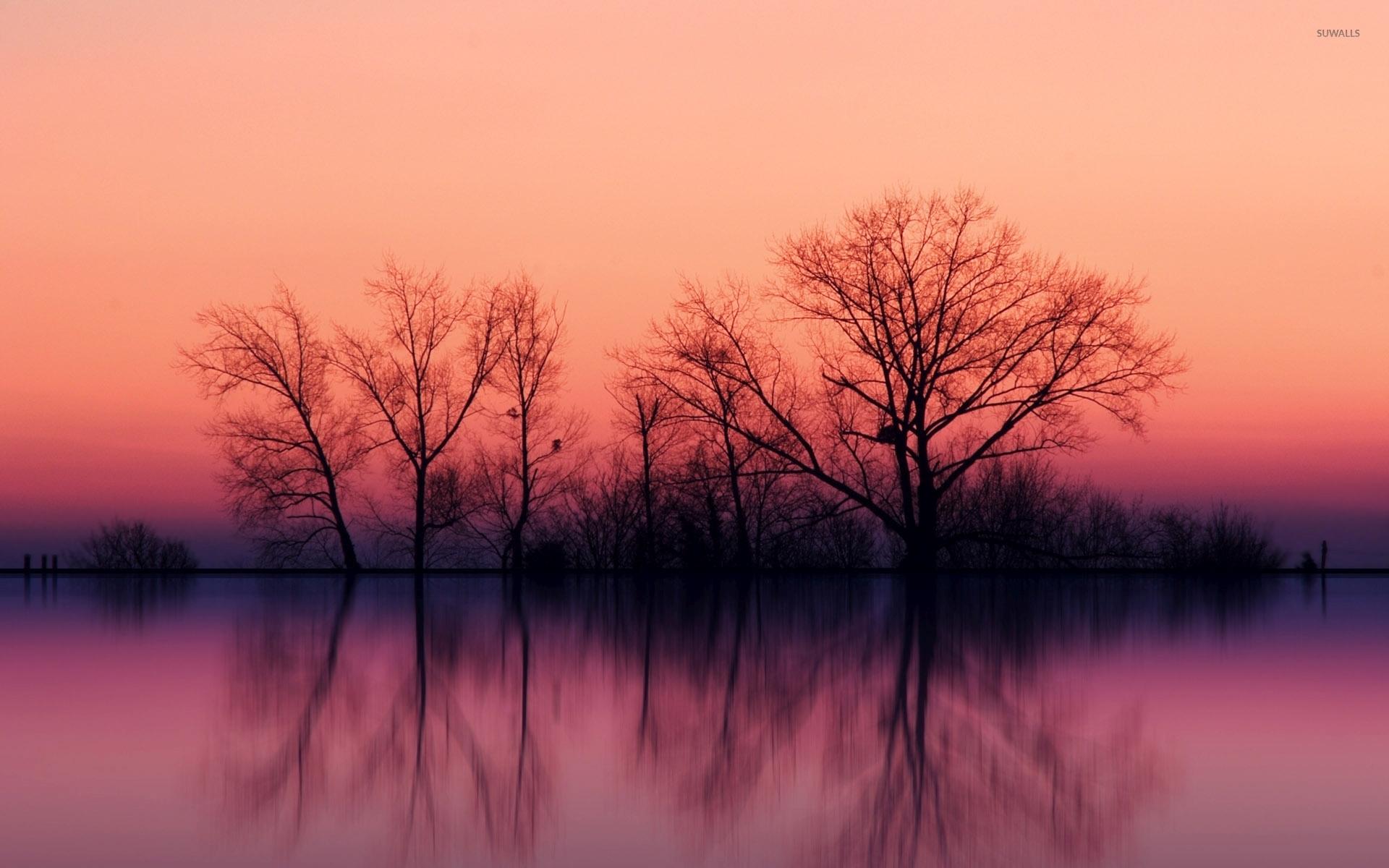 Perfect tree reflection in the calm lake wallpaper