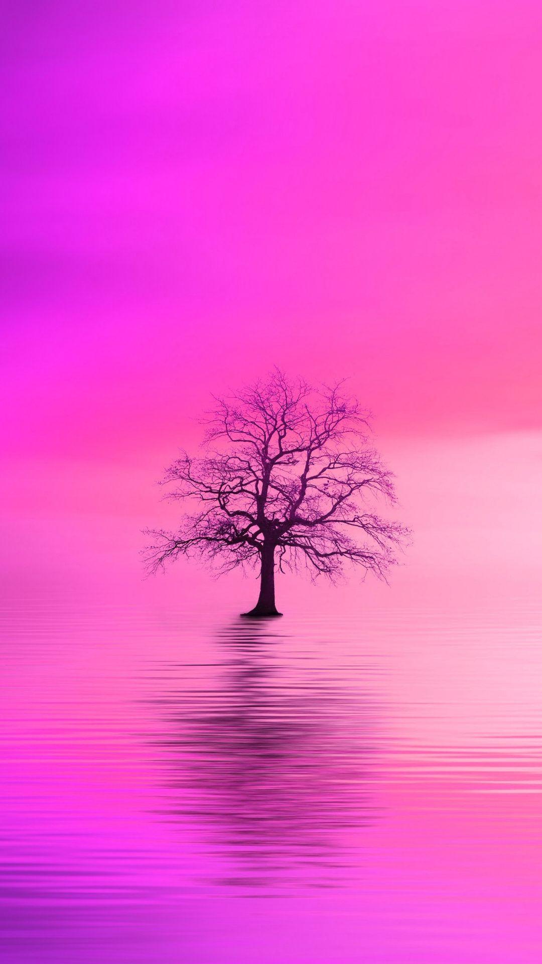 Minimal, pink dawn, tree, lake, digital art wallpaper. A picture to