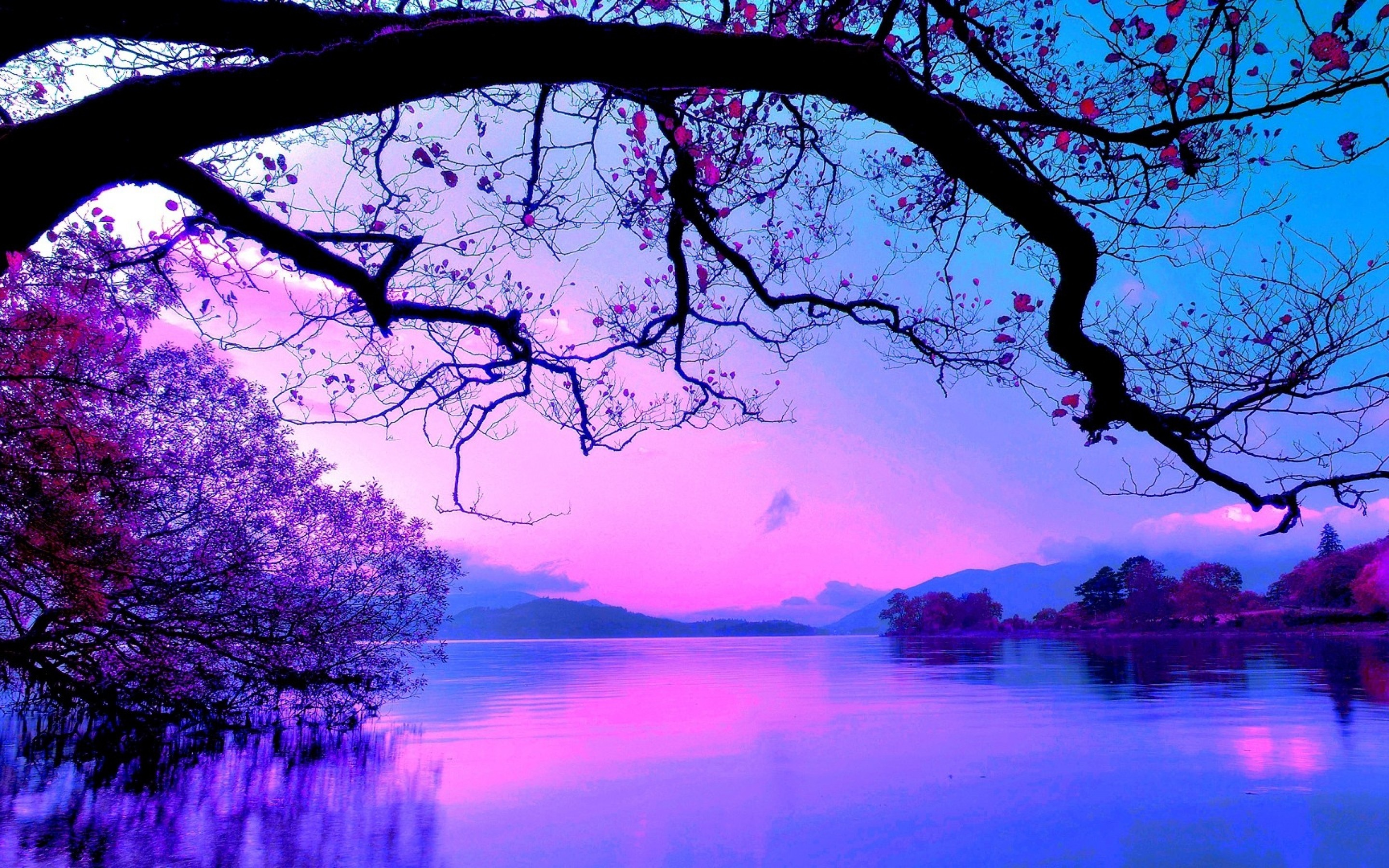 Pink Sunset Over the Lake Wallpaper