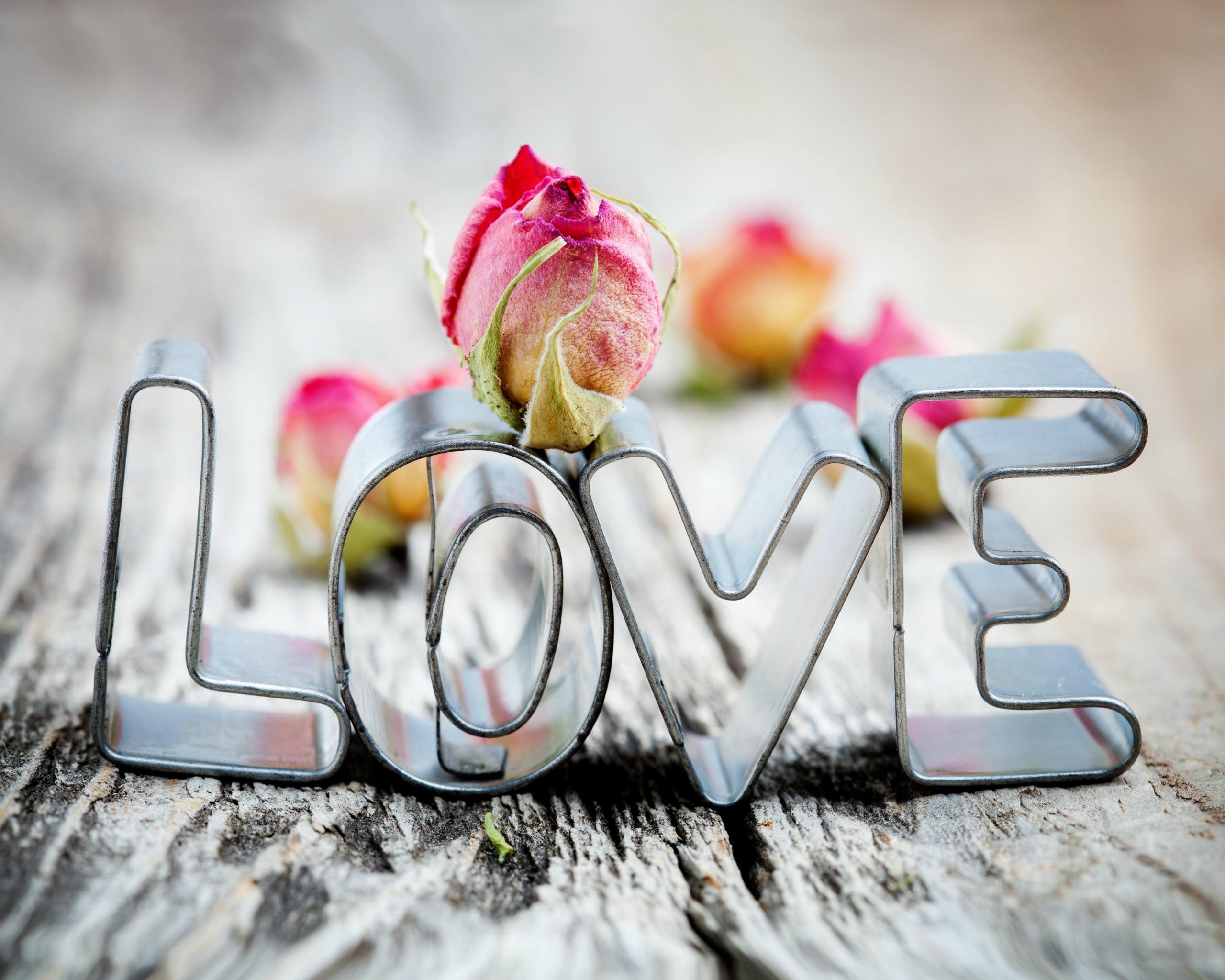 Hd Love Wallpapers Free Download For Android Mobile