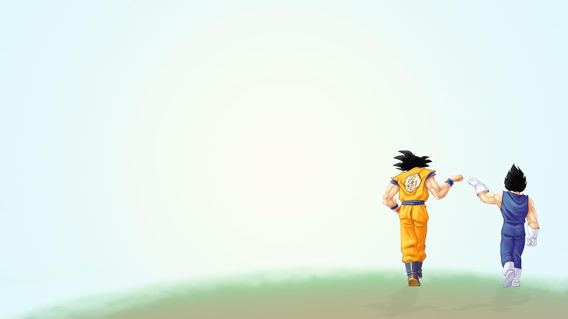 Goku And Vegeta Wallpaper, Picture