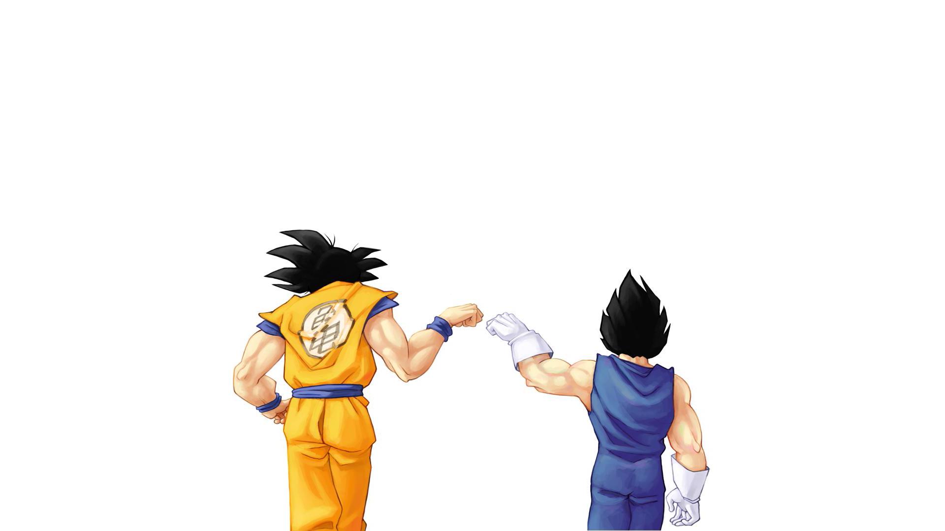 Vegeta, Son Goku, Dragon Ball Z Wallpaper / WallpaperJam.com