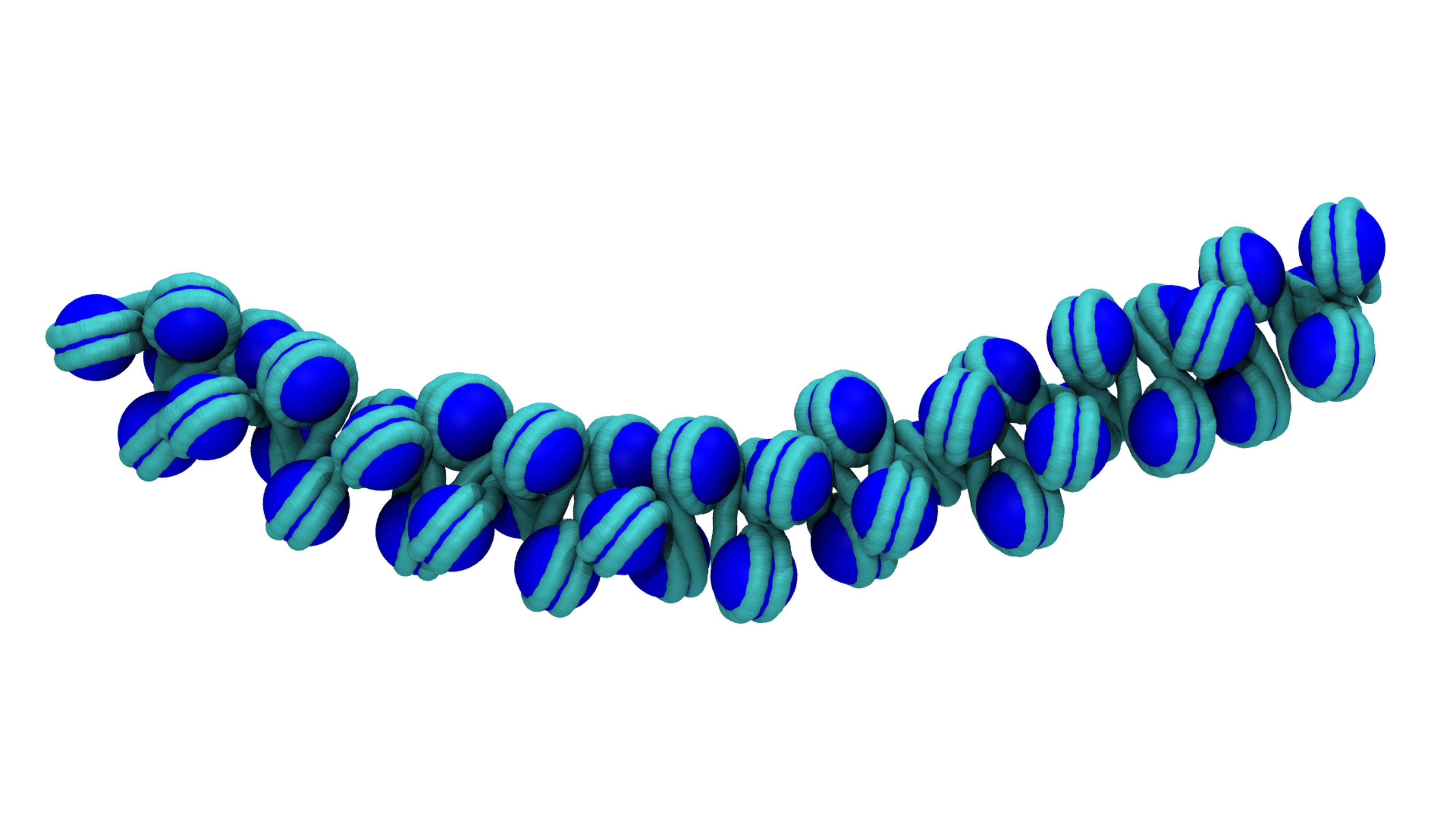 dna, 3 d, Structure, Molecule, Pattern, Abstraction, Genetic