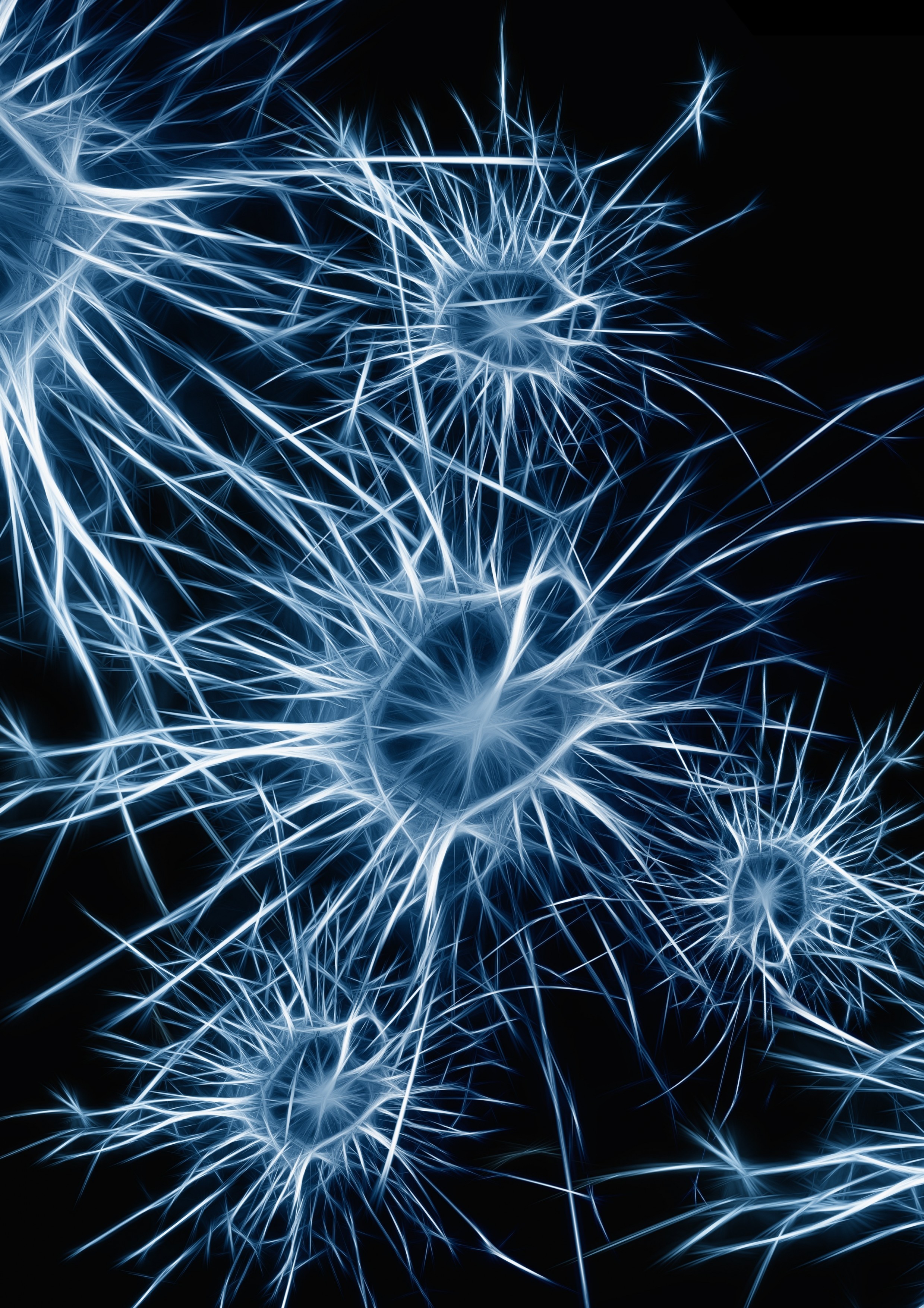 Download 2479x3508 Neurons, Blue, Structure Wallpaper