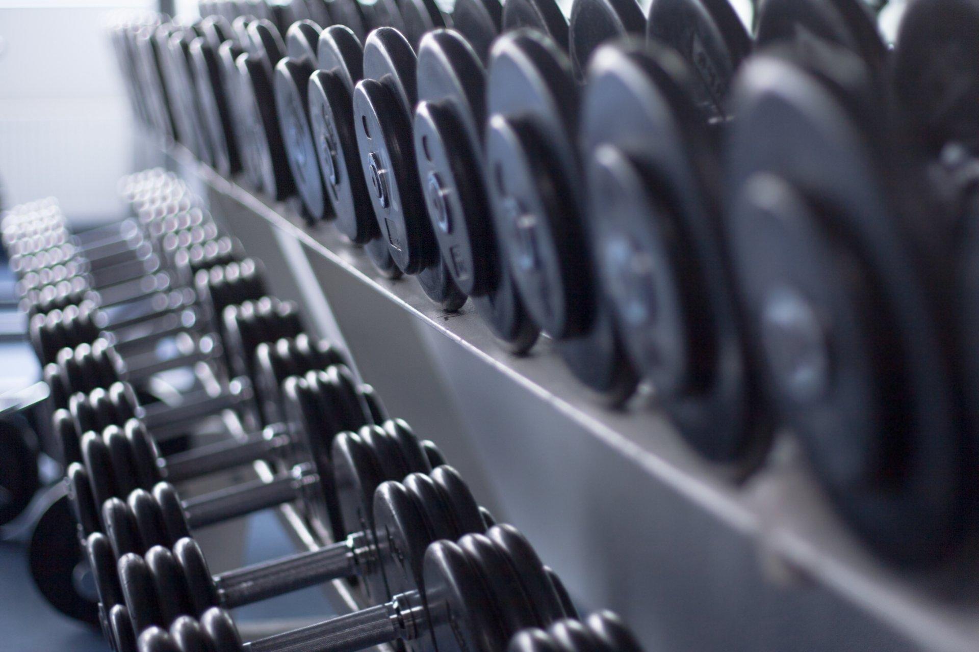dumbbells different weights gym fitness HD wallpaper