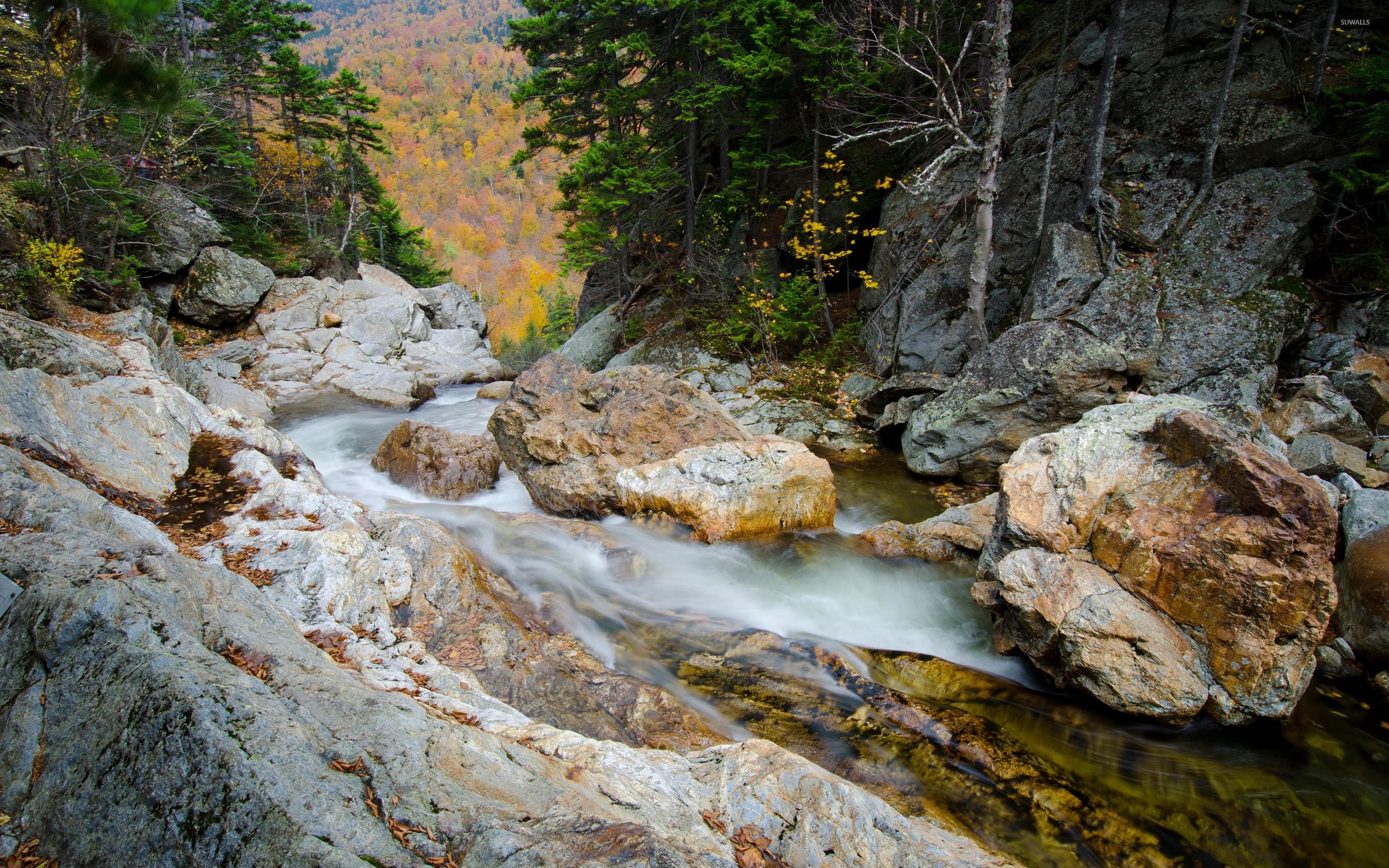 Autumn forest seen from the waterfall top wallpaper