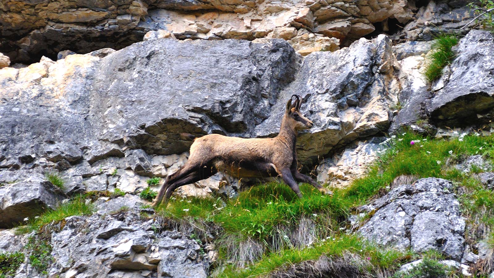 Hiking in the Dolomites