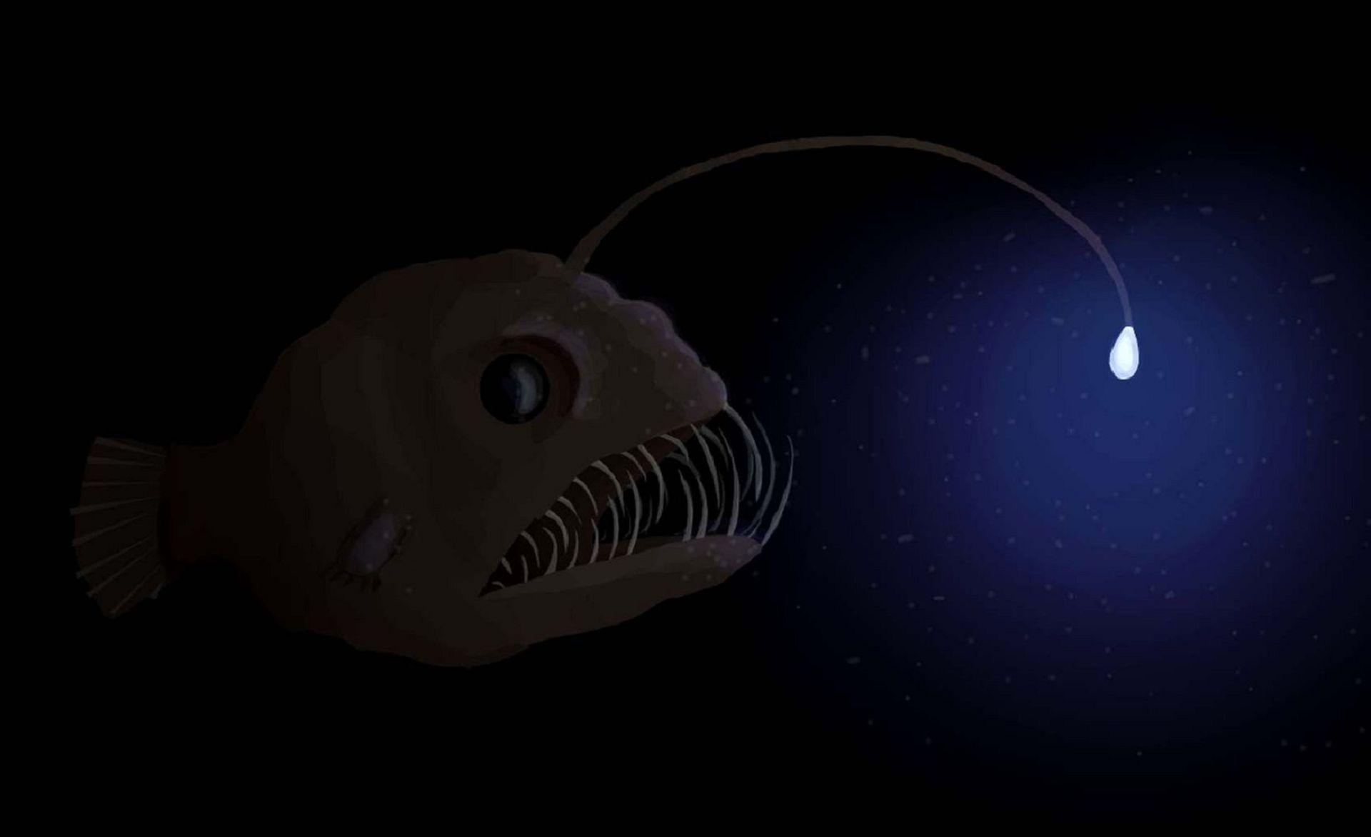 Anglerfish Wallpapers - Wallpaper Cave