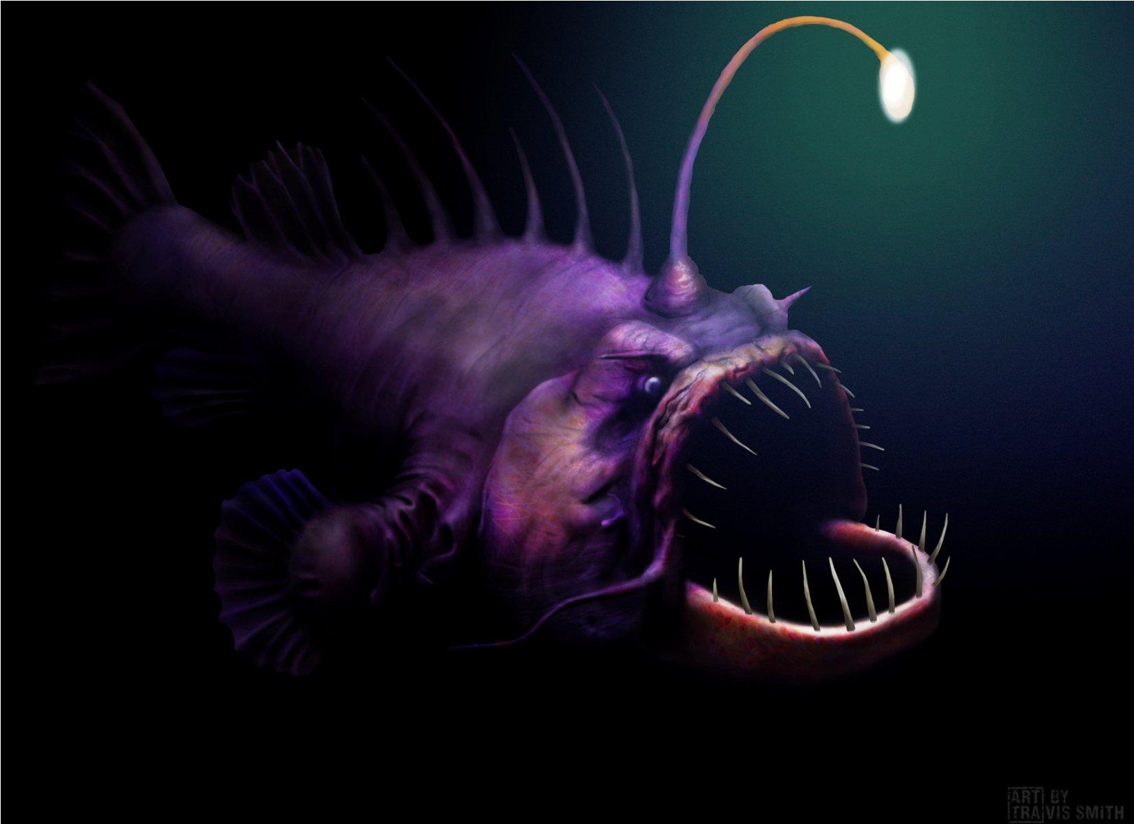 anglerfish, Fish, Ocean, Sea, Underwater, Dark, Creepy, Monster