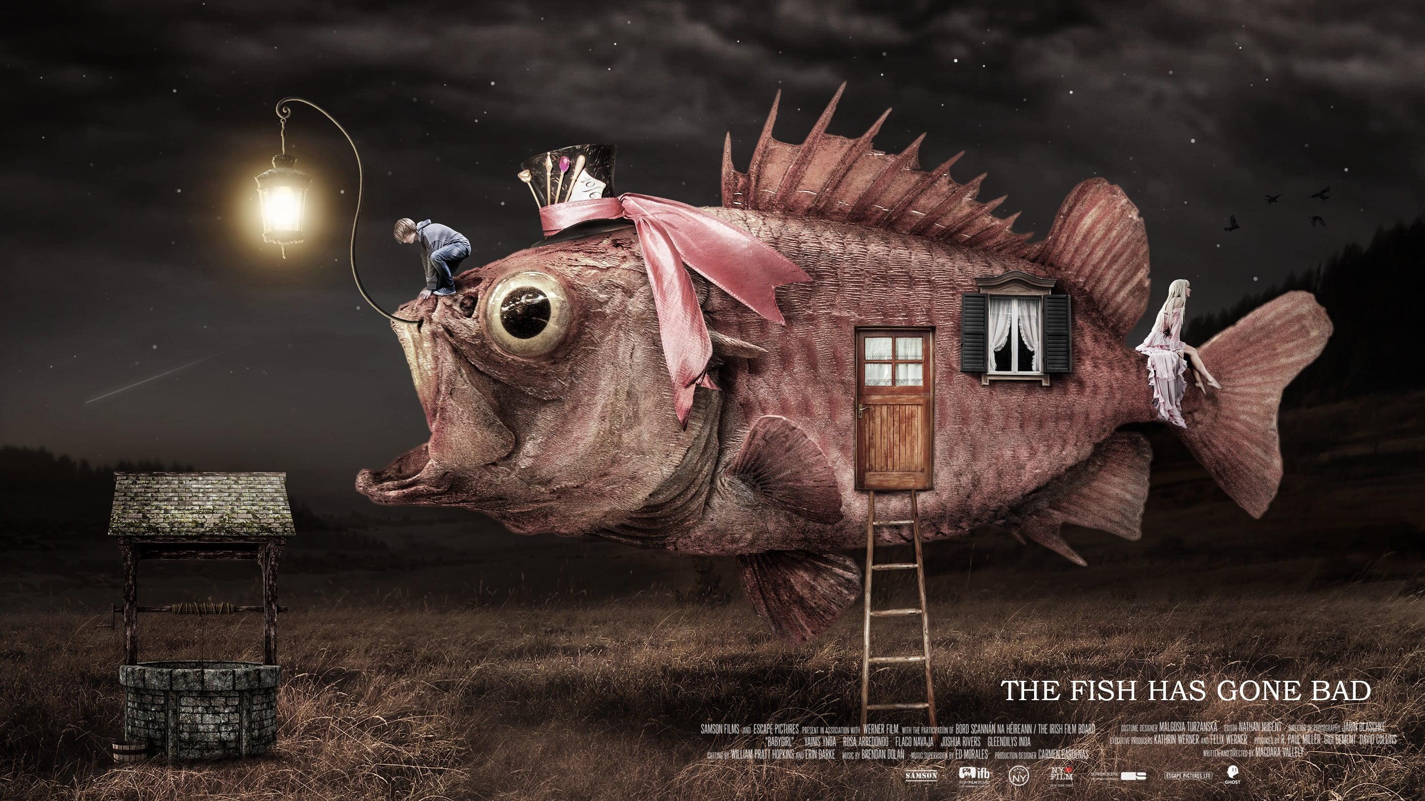 The Fish has Gone Bad wallpaper, fish, movies, Anglerfish HD