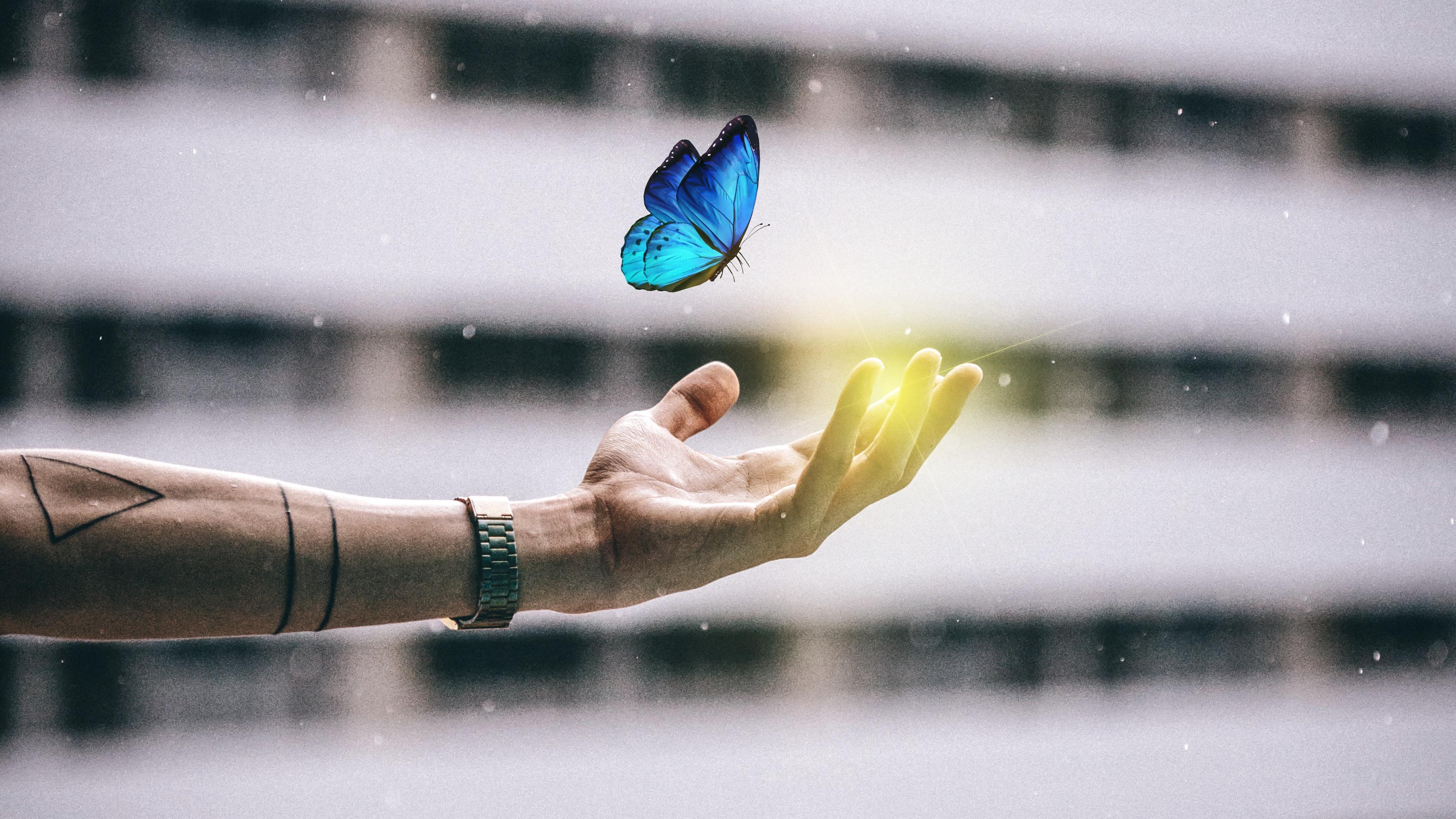 Butterfly In Hand Wallpapers - Wallpaper Cave