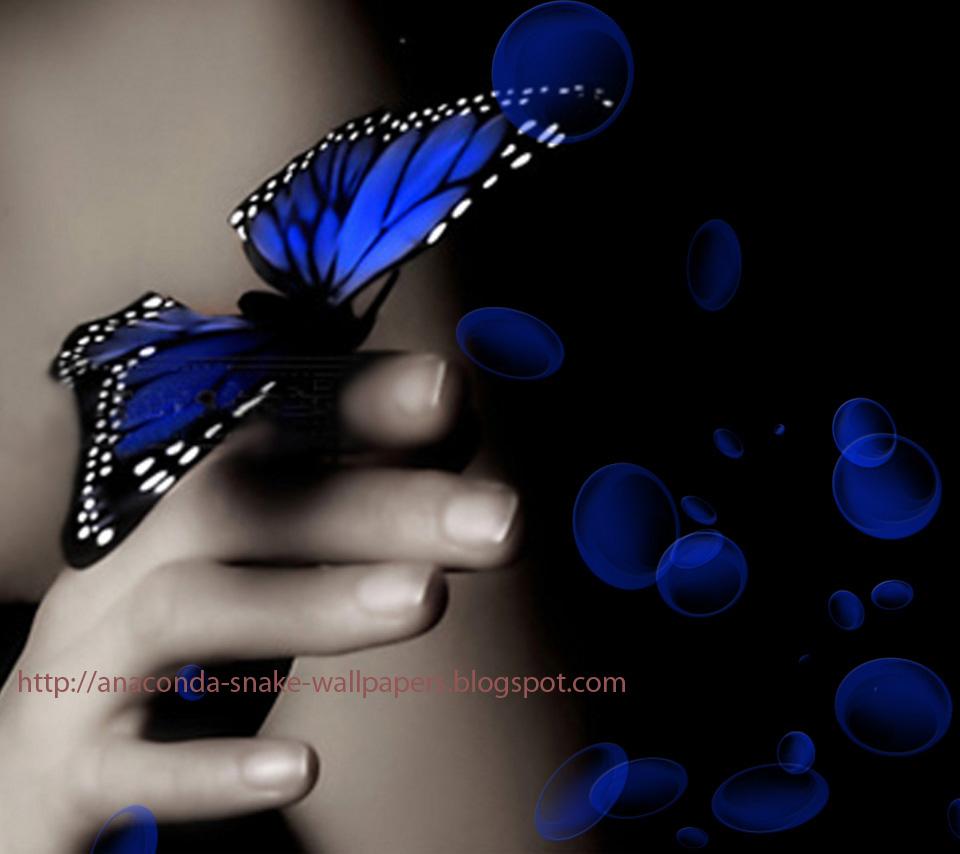 Anaconda Snake Wallpaper: 2011