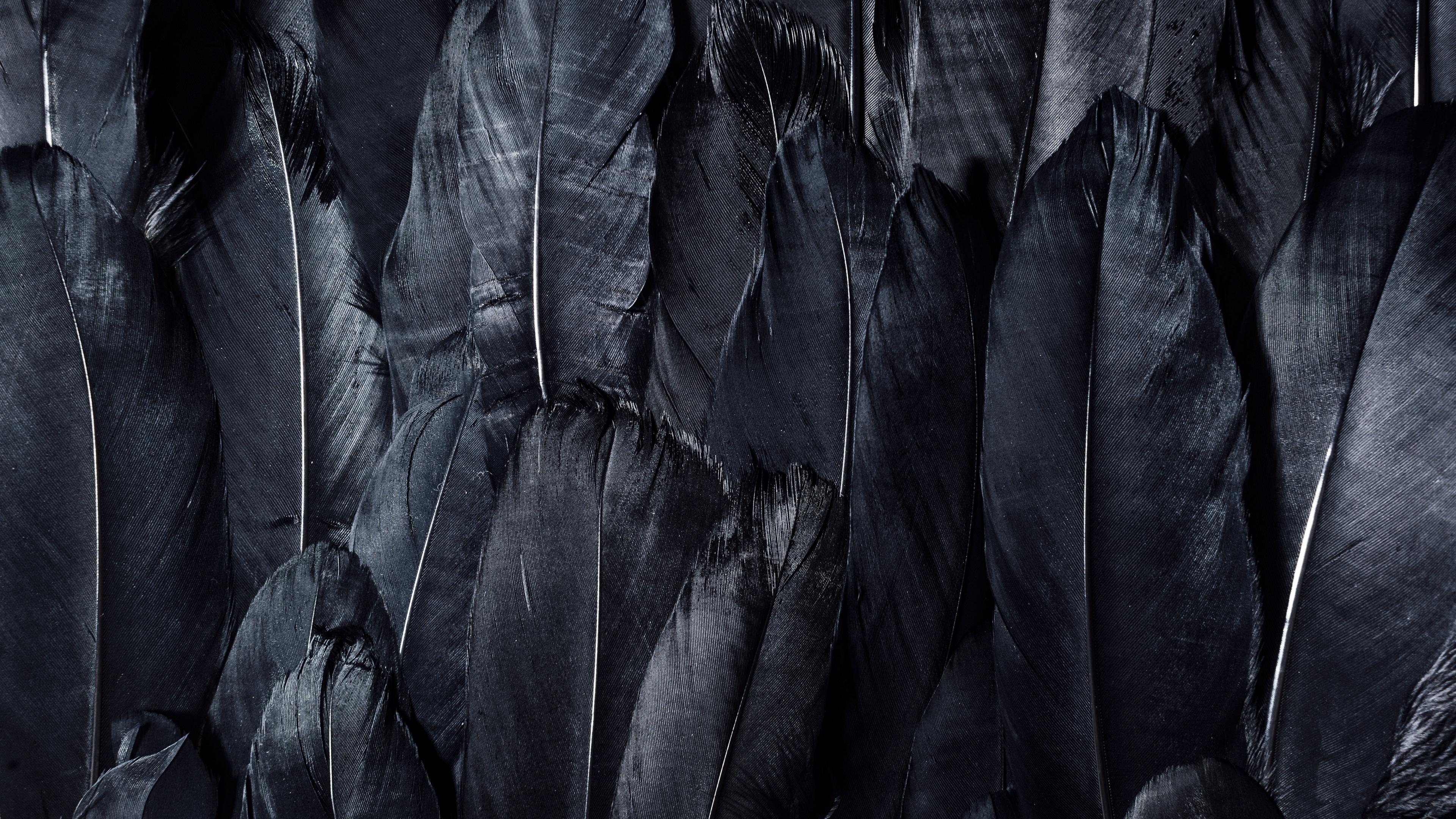 Download wallpaper 3840x2160 feathers, black, dark 4k uhd 16:9 HD