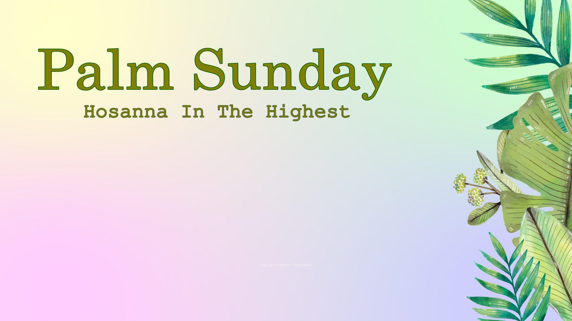 Palm Sunday Image