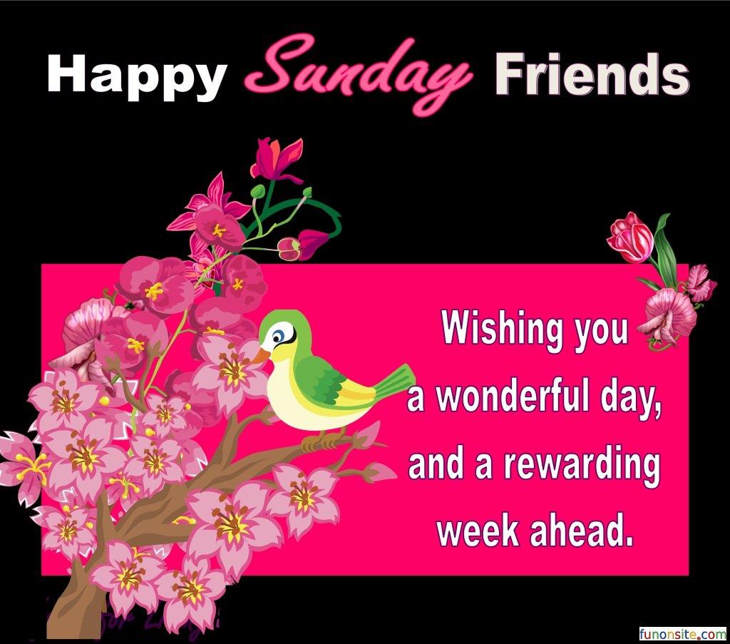 Happy Sunday friends HD wallpaper quote free download
